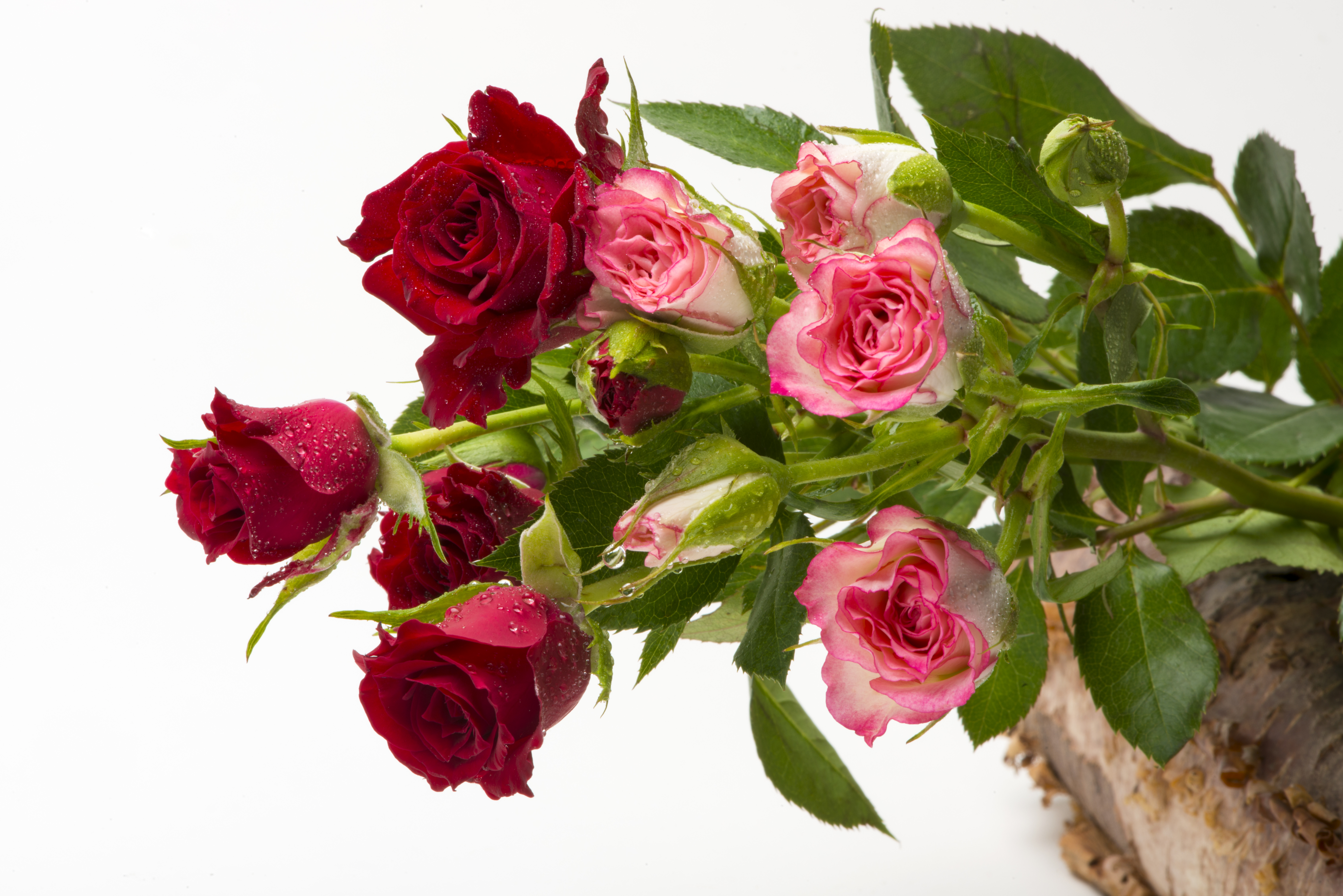 1525033画像をダウンロード地球, 薔薇, バスケット, ピンクの花, 赤い花, 水滴, フラワーズ-壁紙とスクリーンセーバーを無料で