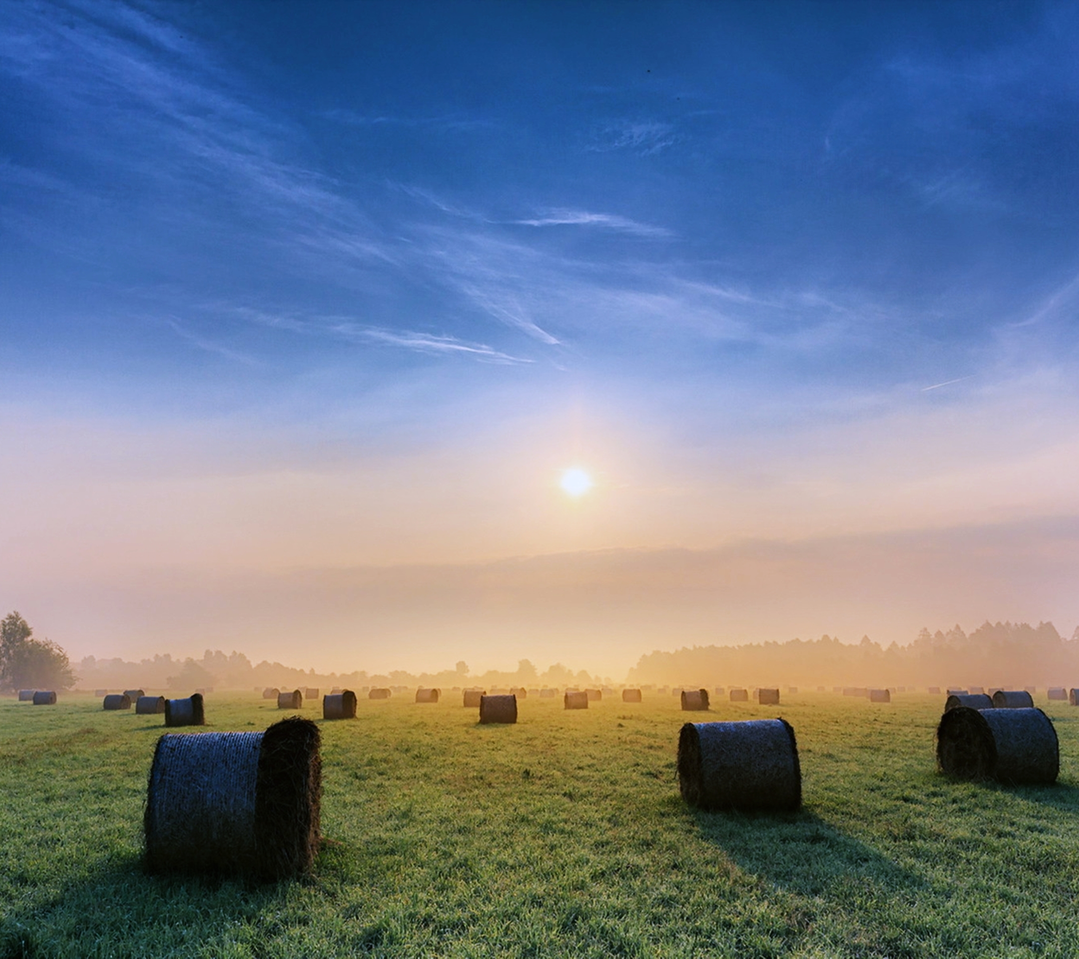 Free download wallpaper Landscape, Nature, Sunrise, Earth, Field, Countryside on your PC desktop