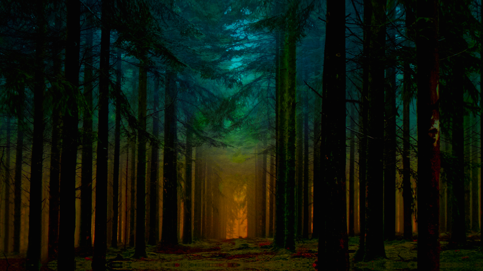 Free download wallpaper Nature, Forest, Earth on your PC desktop