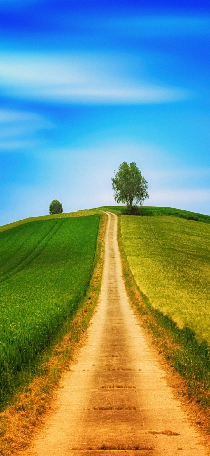 Download mobile wallpaper Tree, Earth, Field, Path, Hill, Dirt Road for free.