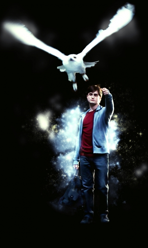 Download mobile wallpaper Owl, Harry Potter, Daniel Radcliffe, Movie, Harry Potter And The Deathly Hallows: Part 1 for free.
