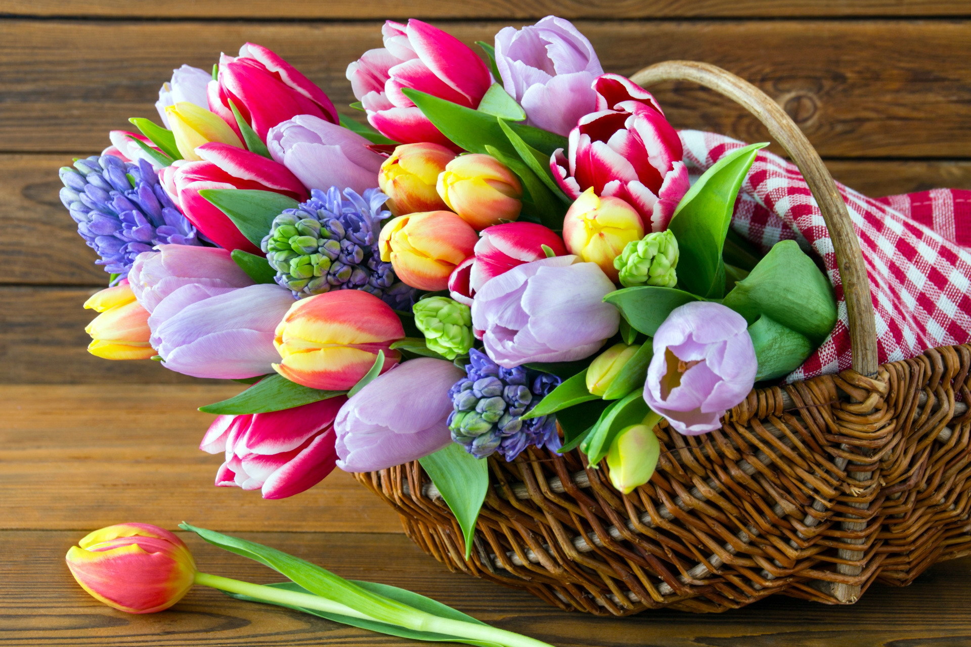Download mobile wallpaper Flower, Colorful, Basket, Spring, Tulip, Man Made for free.