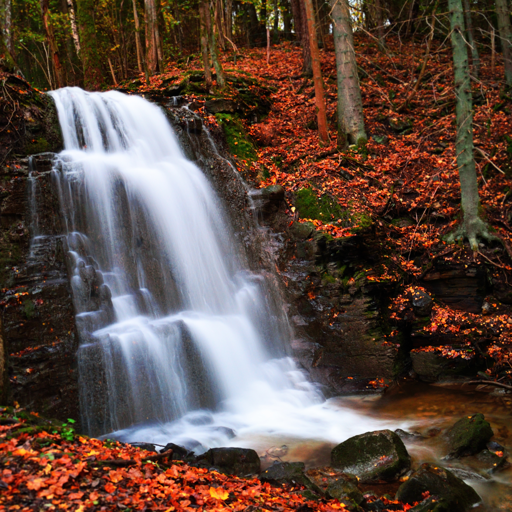 Free download wallpaper Waterfalls, Waterfall, Forest, Tree, Fall, Earth, Orange (Color) on your PC desktop