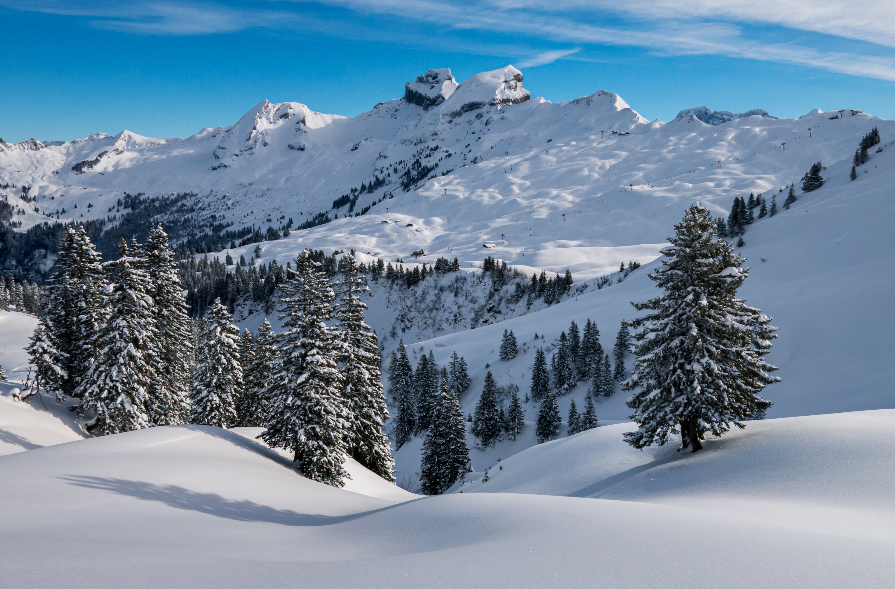 earth, winter, mountain, peak, snow, spruce Image for desktop
