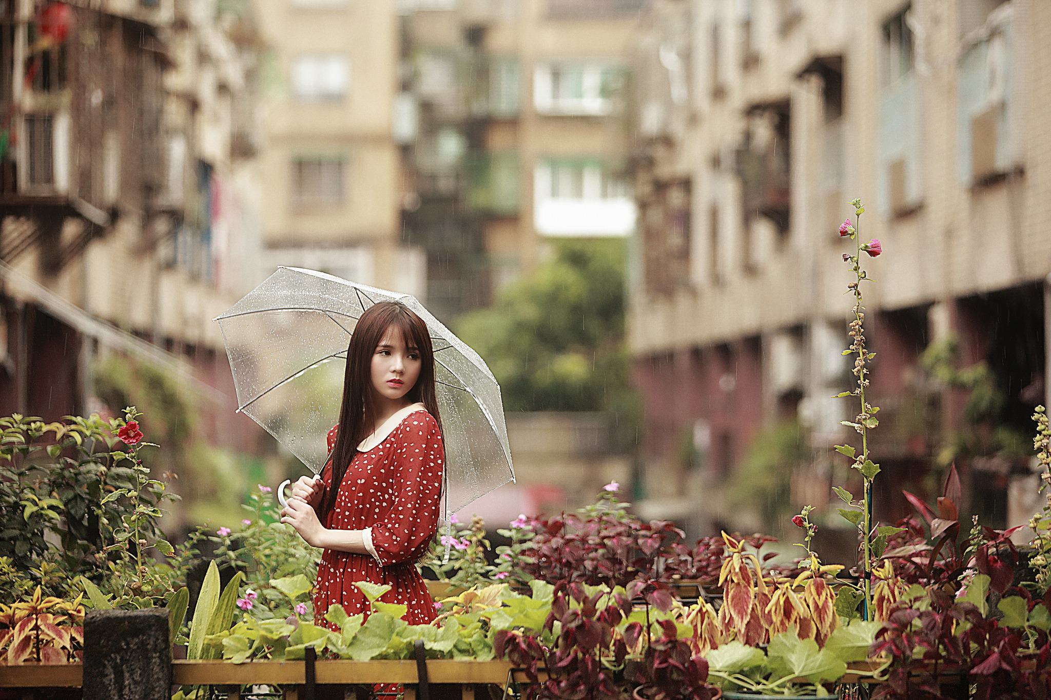 Téléchargez gratuitement l'image Pluie, Parapluie, Brune, Asiatique, Femmes, Top Model, Robe Rouge sur le bureau de votre PC