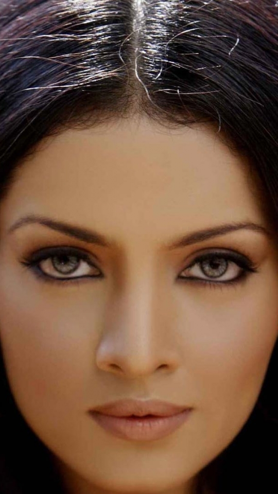 Handy-Wallpaper Haar, Auge, Frauen, Andere, Bollywood, Celina Jaitly kostenlos herunterladen.