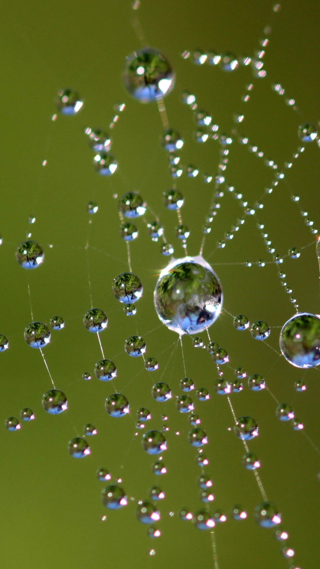 Handy-Wallpaper Makro, Fotografie, Spinnennetz, Wassertropfen kostenlos herunterladen.