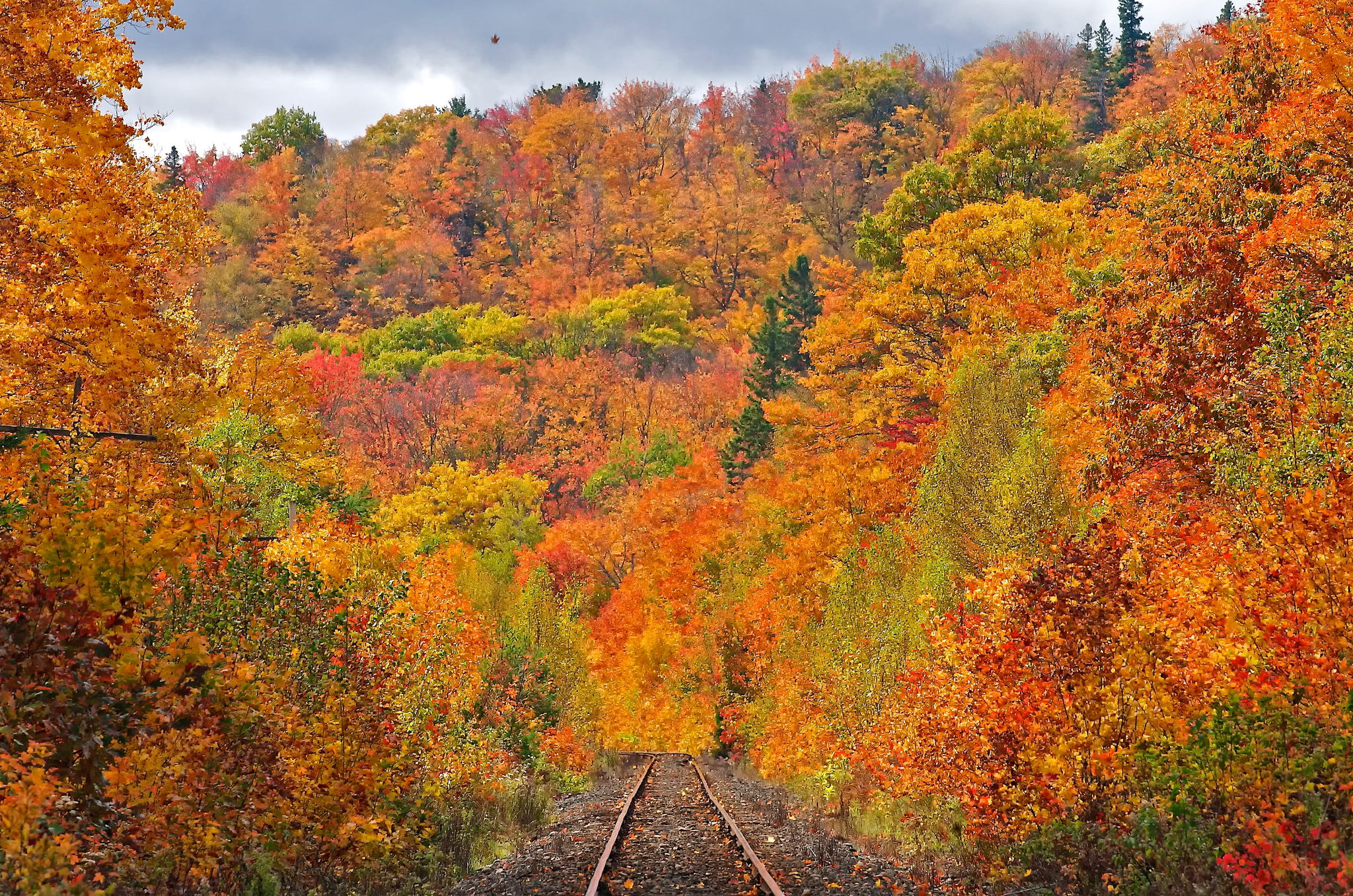 Download mobile wallpaper Forest, Fall, Railroad, Man Made for free.