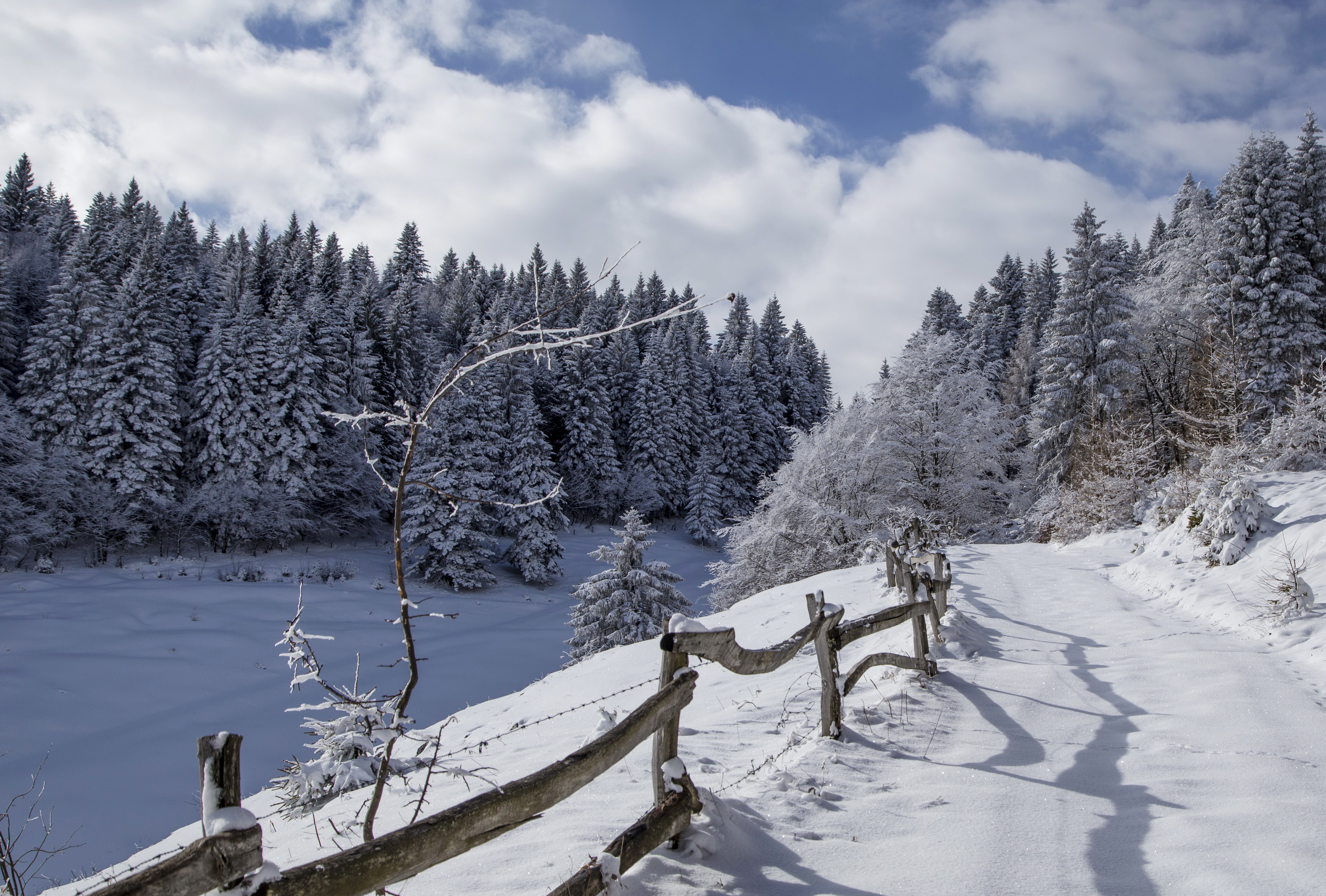Скачать обои бесплатно Зима, Природа, Снег, Дорога, Ограда, Земля/природа картинка на рабочий стол ПК