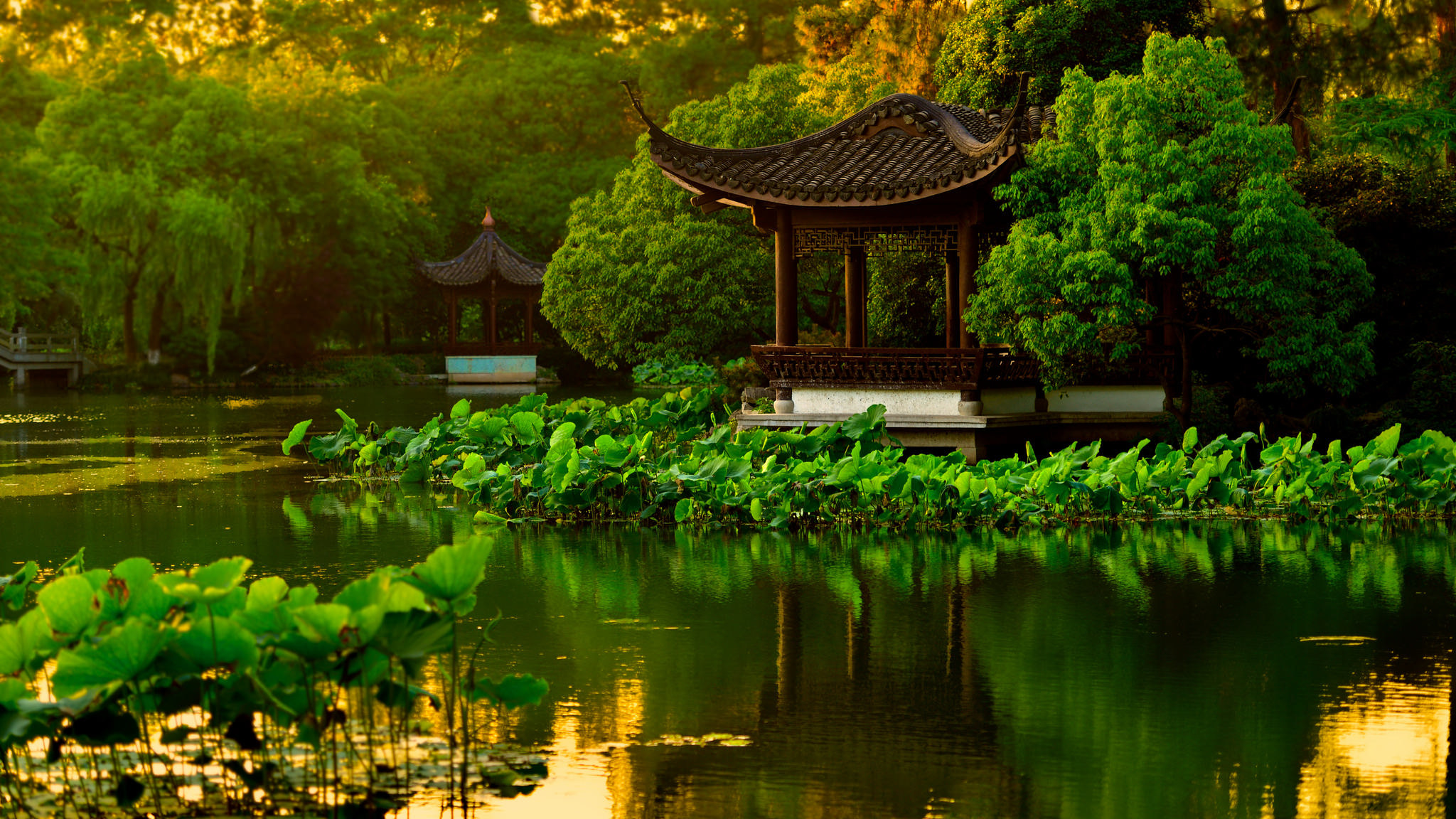 man made, garden, lotus, pagoda, pond, reflection, water