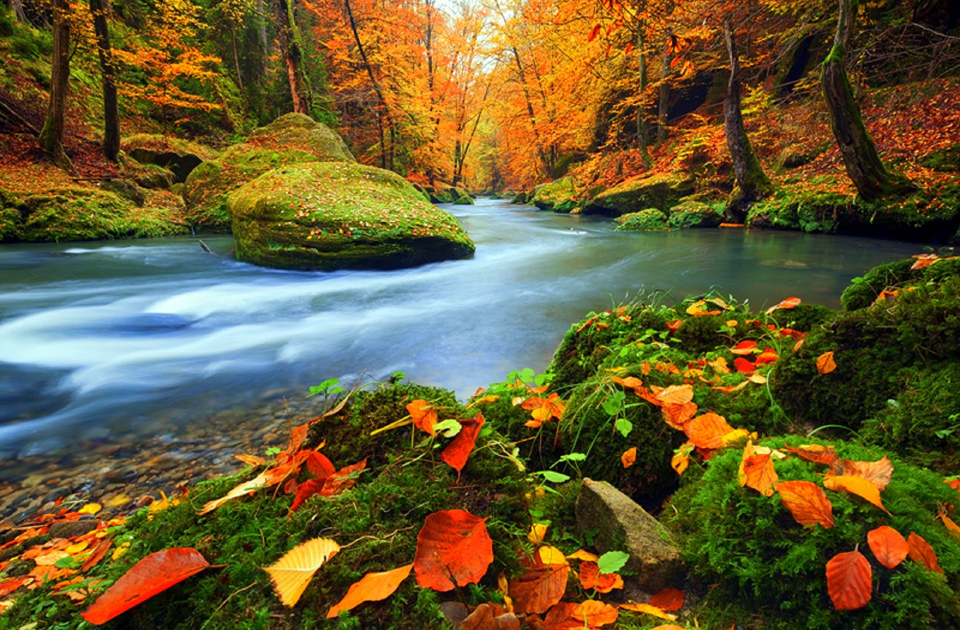 Free download wallpaper Nature, Forest, Tree, Leaf, Fall, Earth, Stream on your PC desktop
