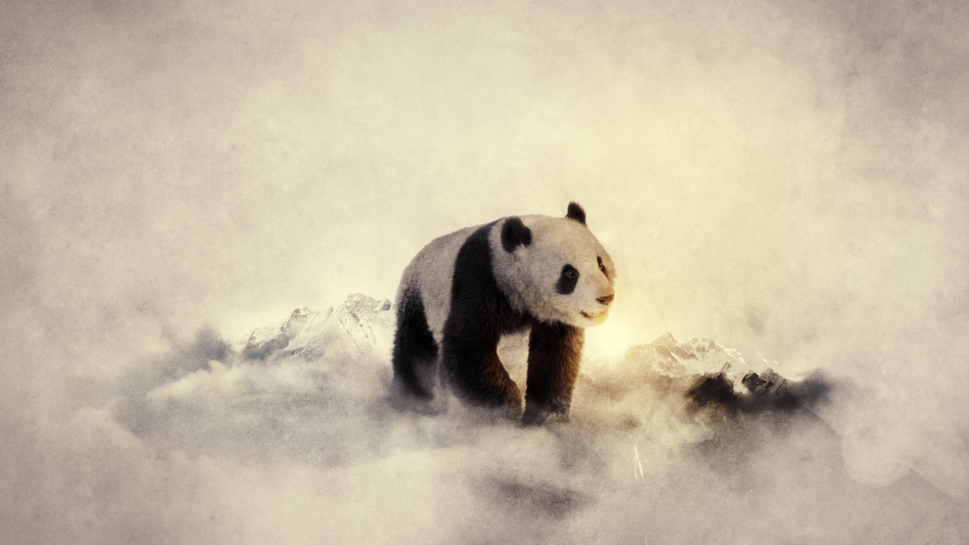 Laden Sie das Tiere, Bär, Panda-Bild kostenlos auf Ihren PC-Desktop herunter