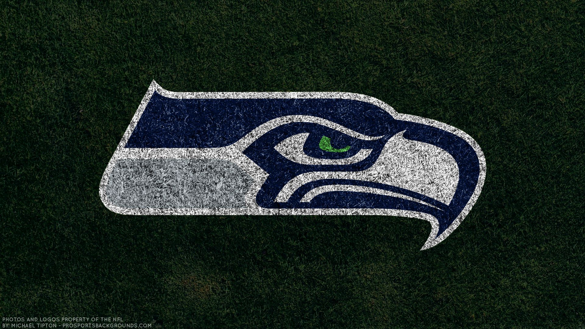 Laden Sie das Sport, Fußball, Logo, Emblem, Seattle Seahawks, Nfl-Bild kostenlos auf Ihren PC-Desktop herunter