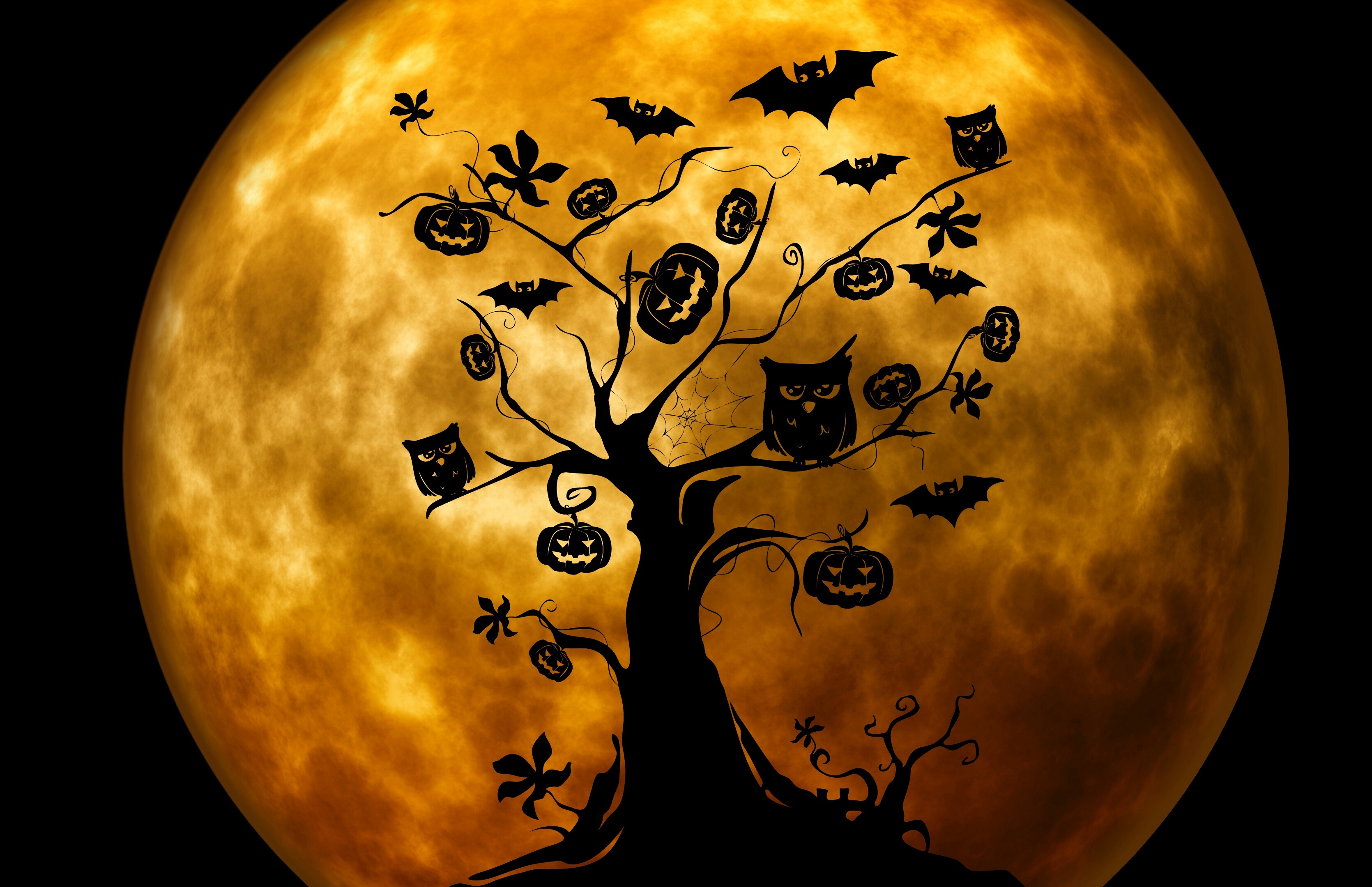 Téléchargez des papiers peints mobile Halloween, Silhouette, Arbre, Hibou, Vacances, Chauve Souris, Citrouille D'halloween gratuitement.