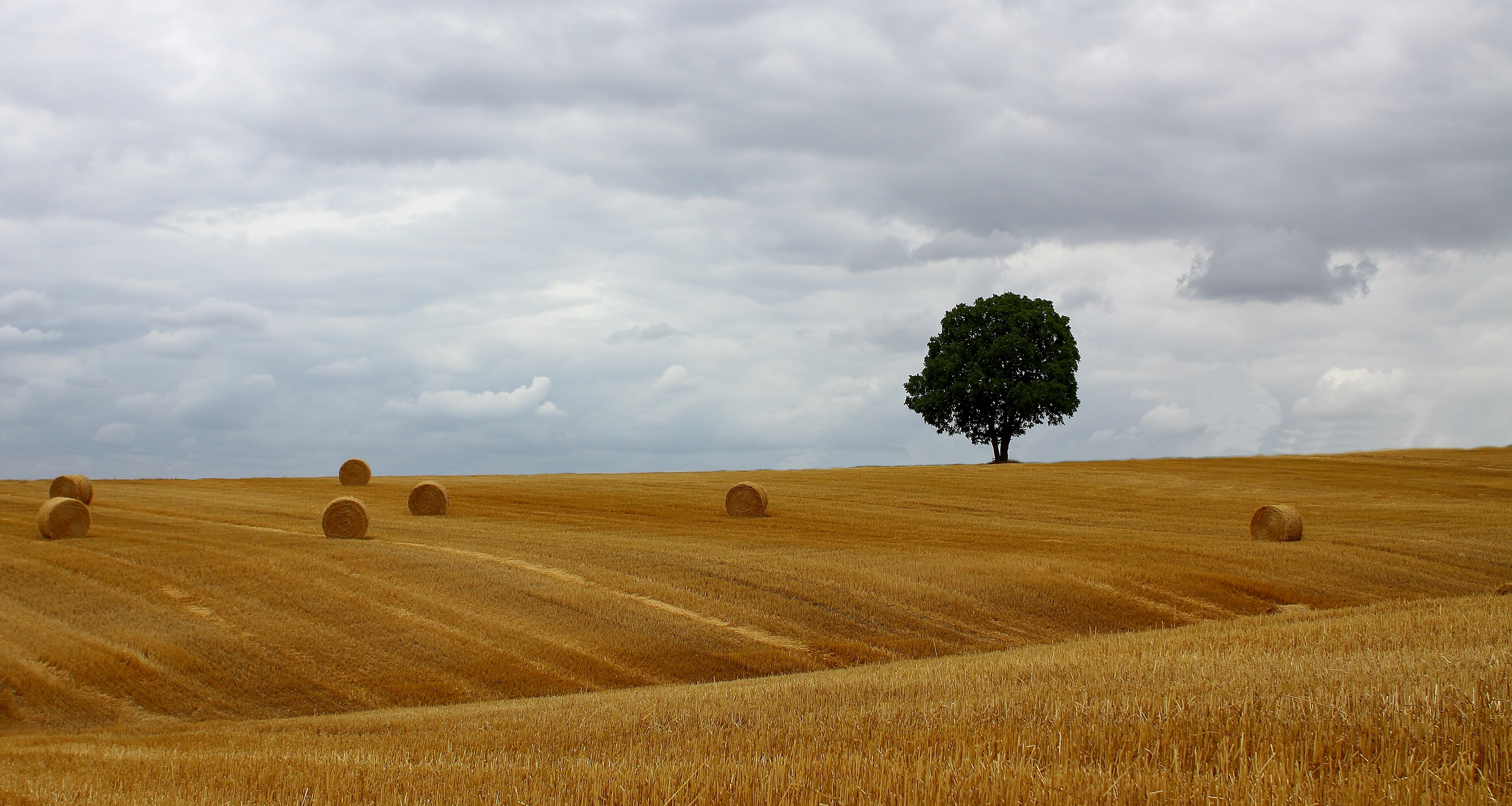 Free download wallpaper Nature, Summer, Tree, Earth, Field, Cloud, Haystack, Lonely Tree on your PC desktop