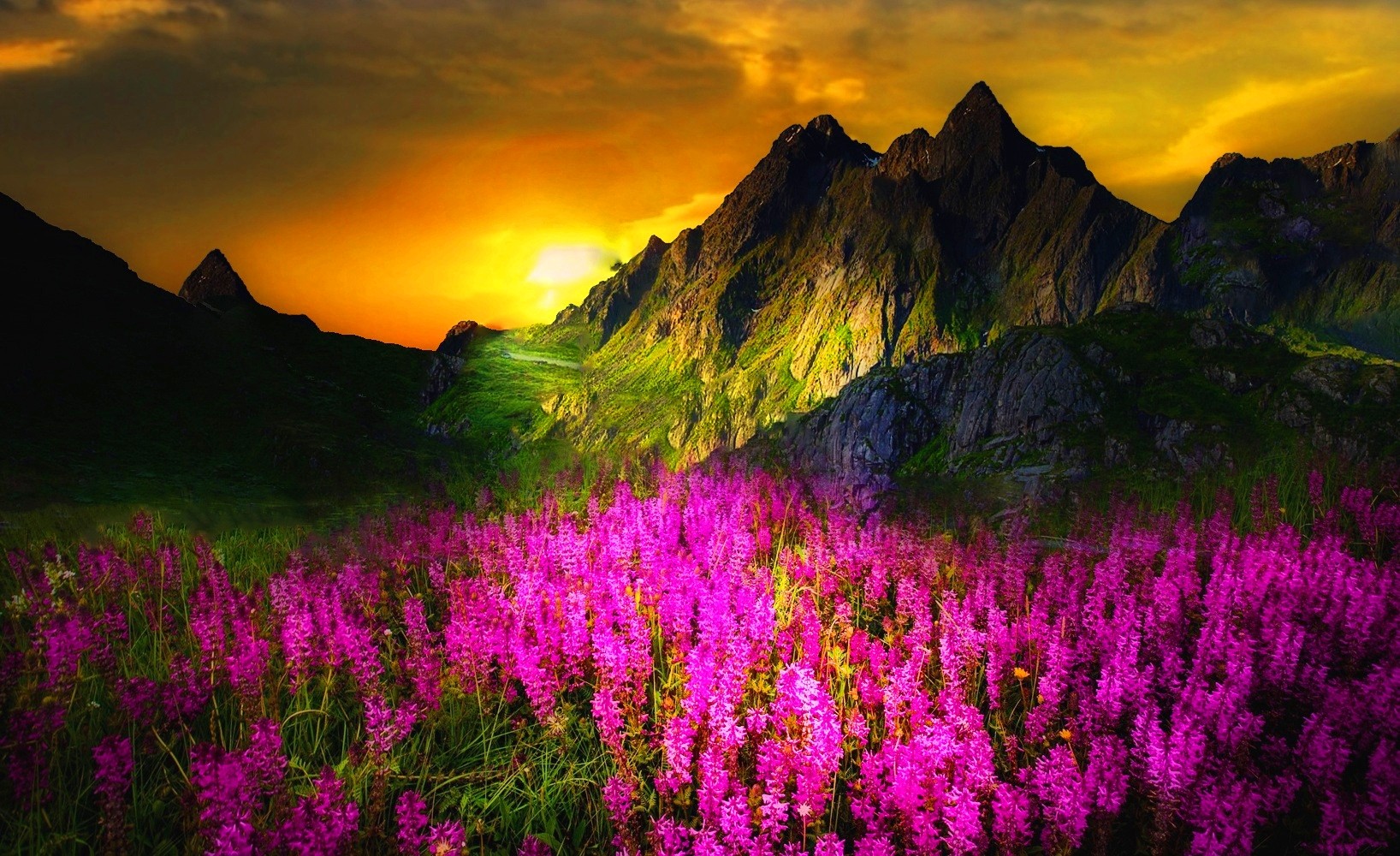 Download mobile wallpaper Sunset, Mountain, Flower, Earth, Spring, Pink Flower for free.