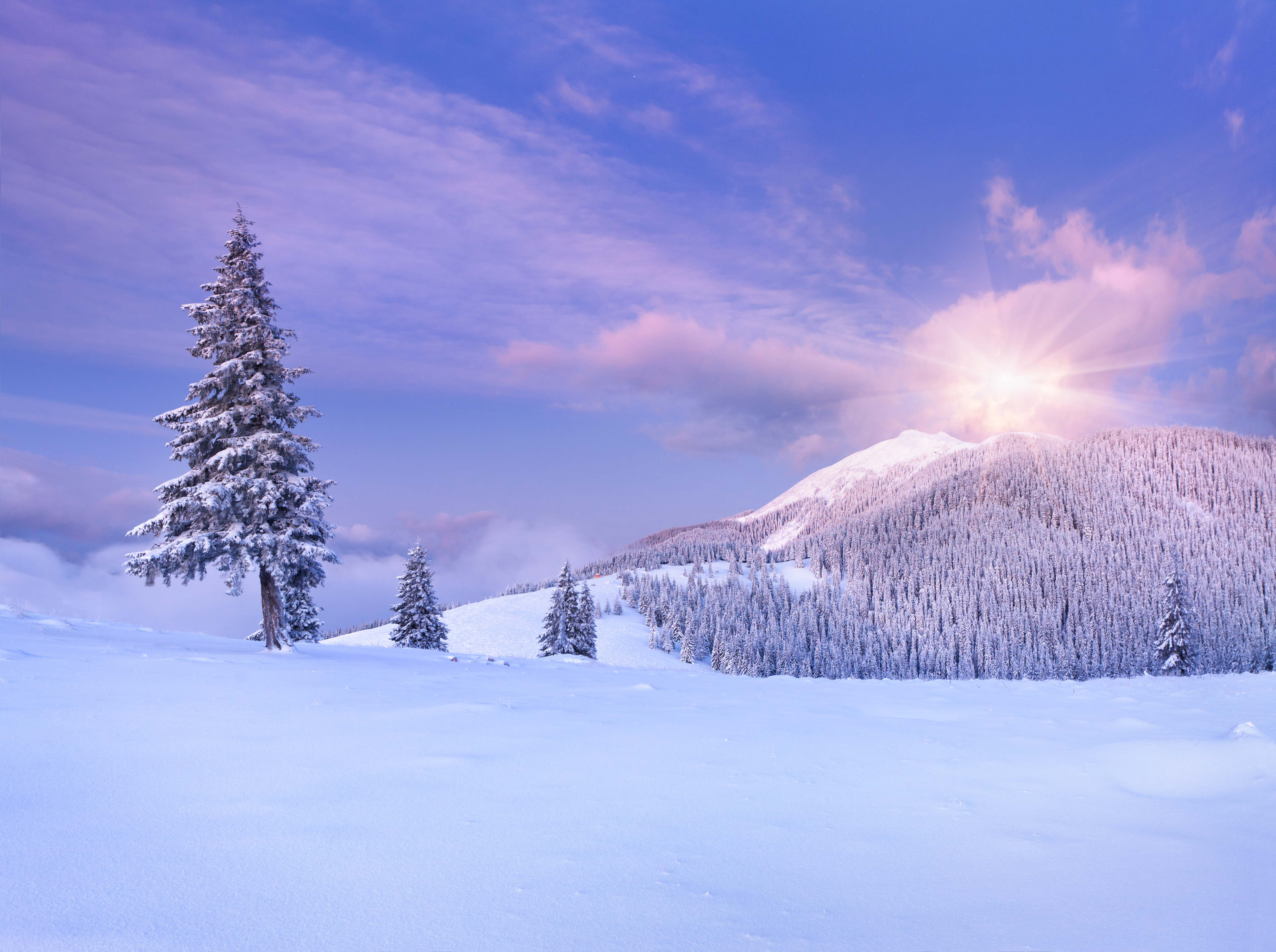 Free download wallpaper Landscape, Winter, Snow, Earth on your PC desktop