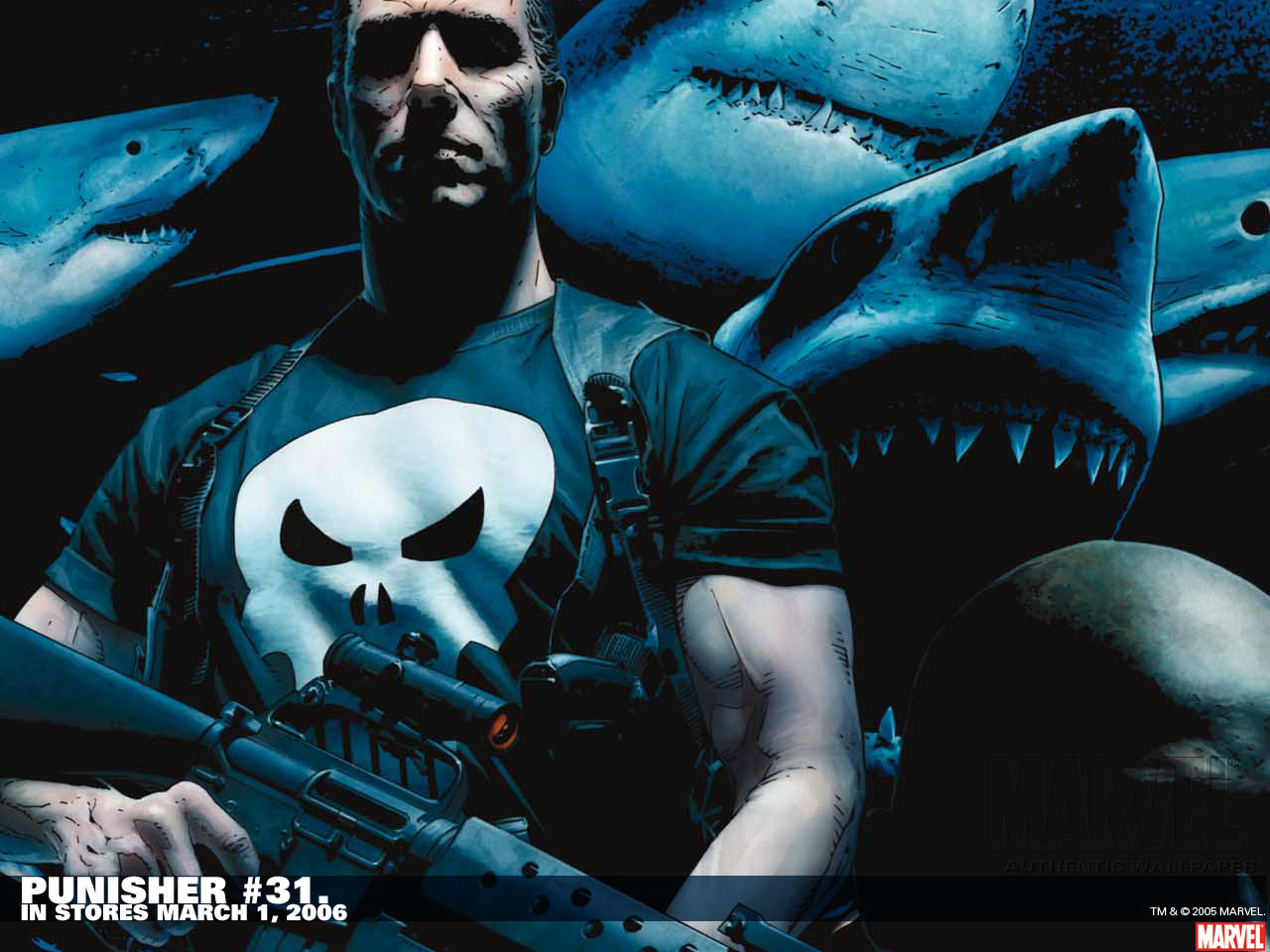 Free download wallpaper Comics, Punisher on your PC desktop