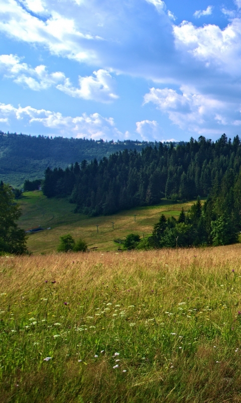 Скачать картинку Пейзаж, Земля/природа в телефон бесплатно.