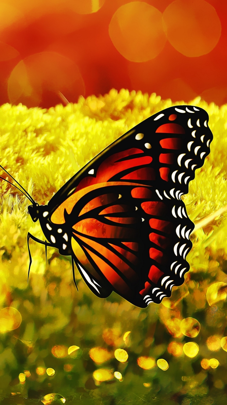 無料モバイル壁紙蝶, 黄色, 芸術的をダウンロードします。