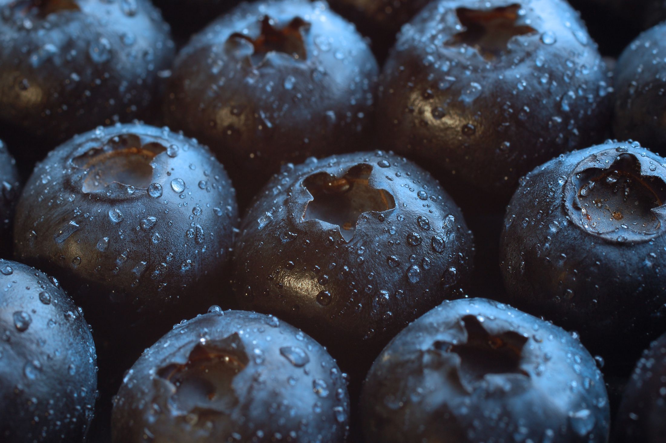 Download mobile wallpaper Blueberry, Food for free.