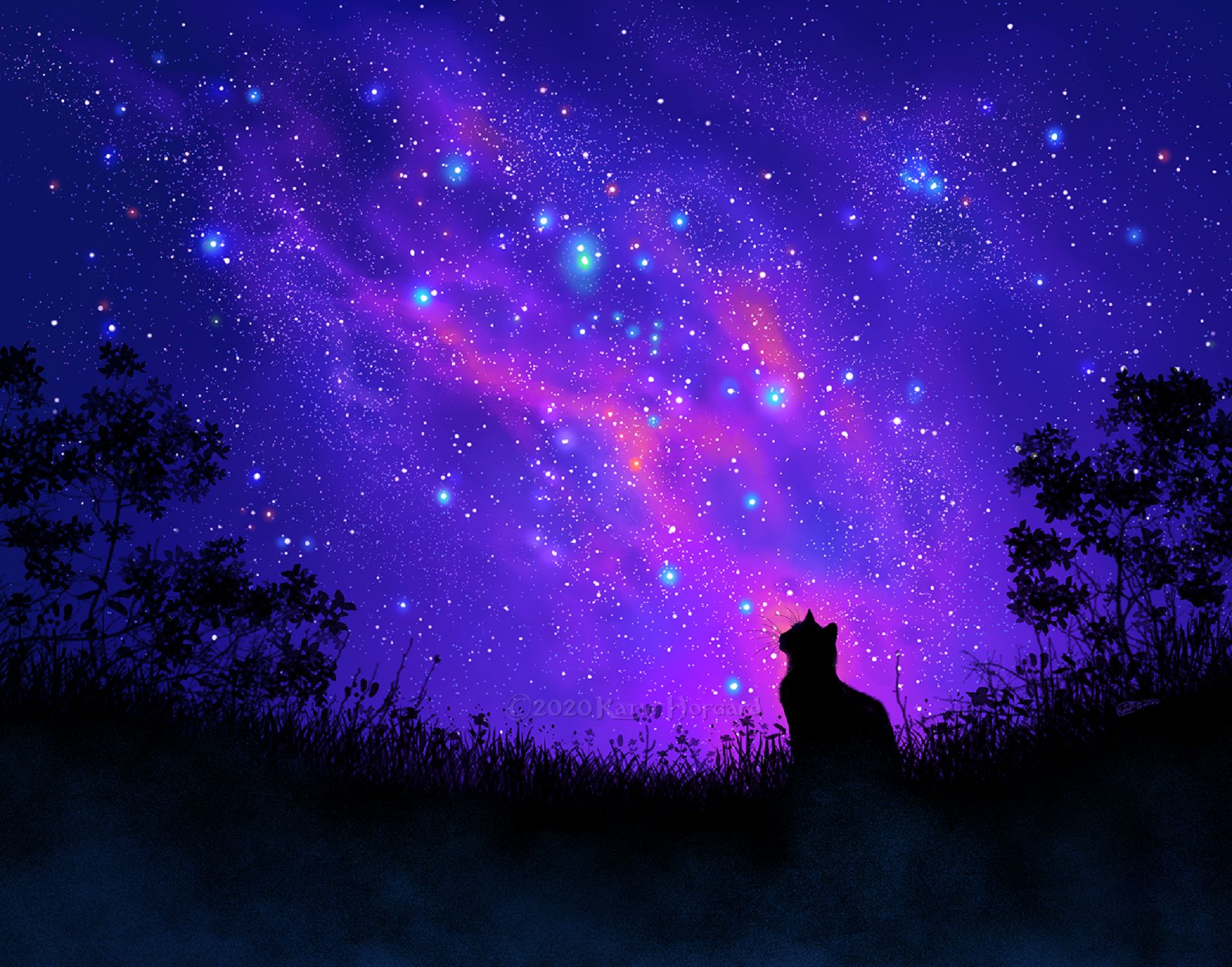 Free download wallpaper Fantasy, Sky, Cat, Starry Sky, Colors, Fantasy Animals on your PC desktop