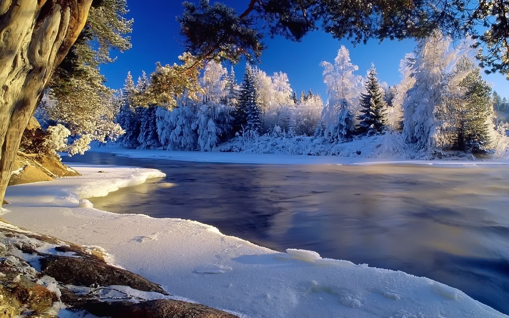 Скачать картинку Снег, Вода, Зима, Дерево, Земля/природа в телефон бесплатно.
