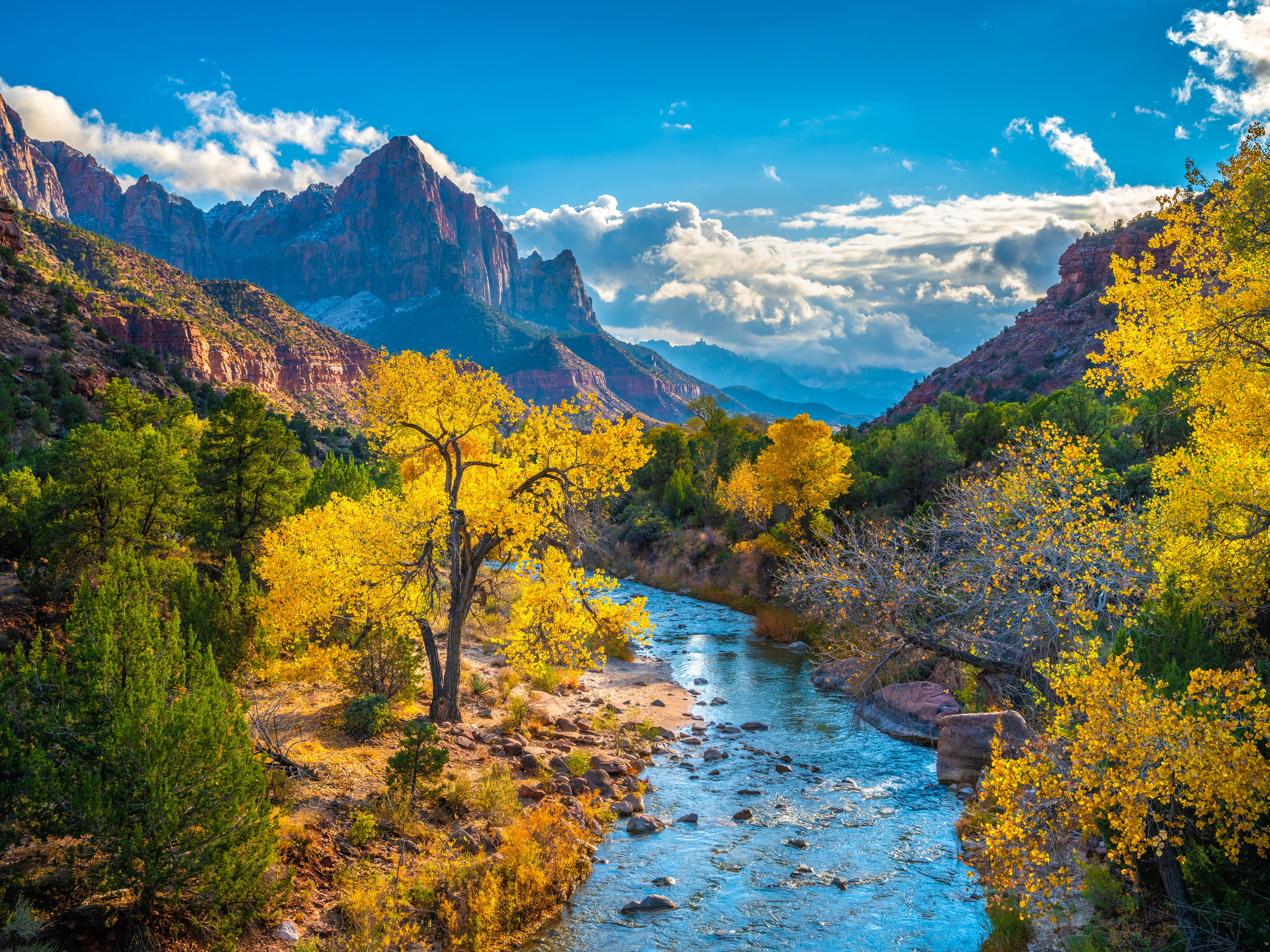 nature, zion national park, earth, river, national park