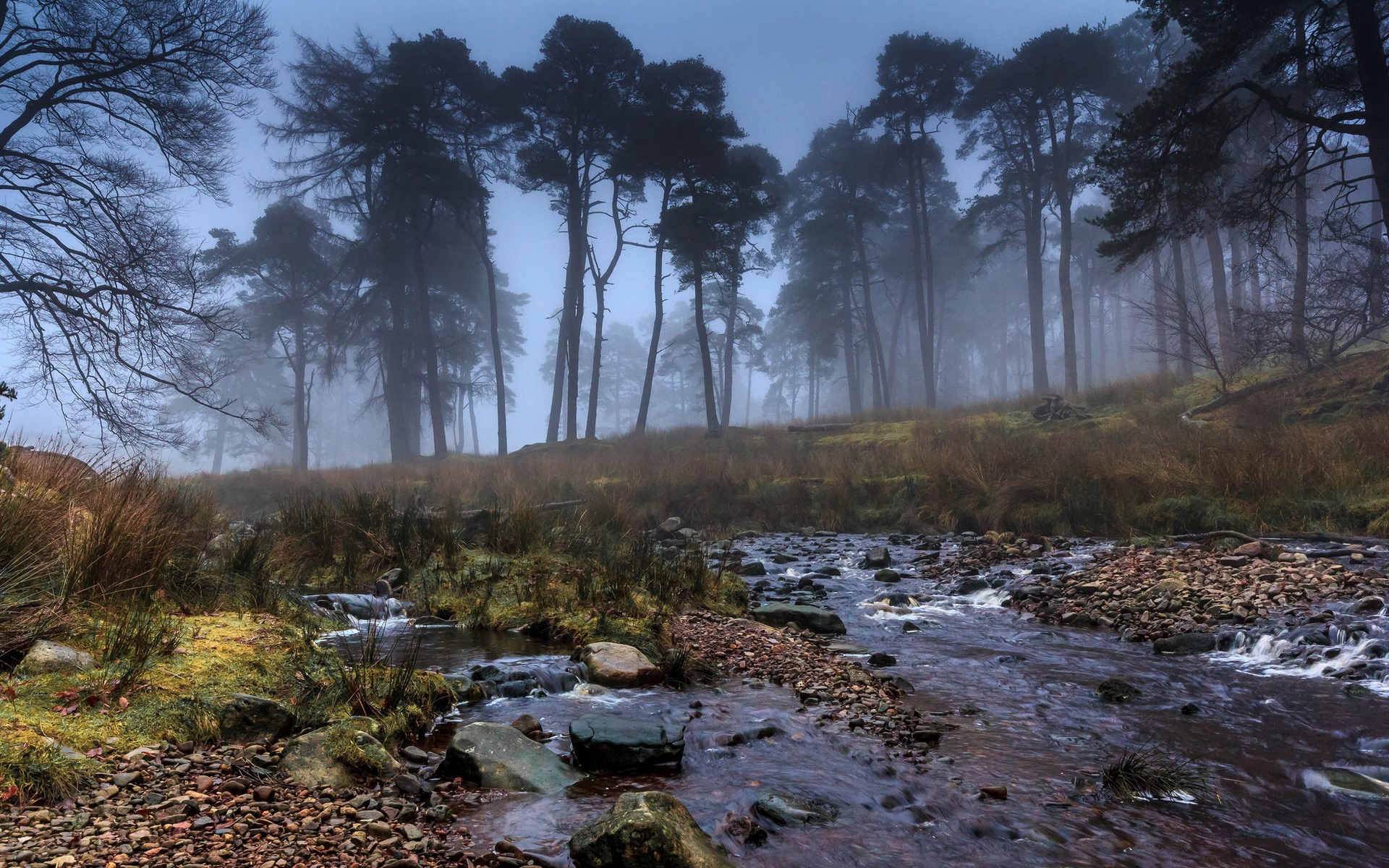 Laden Sie das Fluss, Erde/natur-Bild kostenlos auf Ihren PC-Desktop herunter