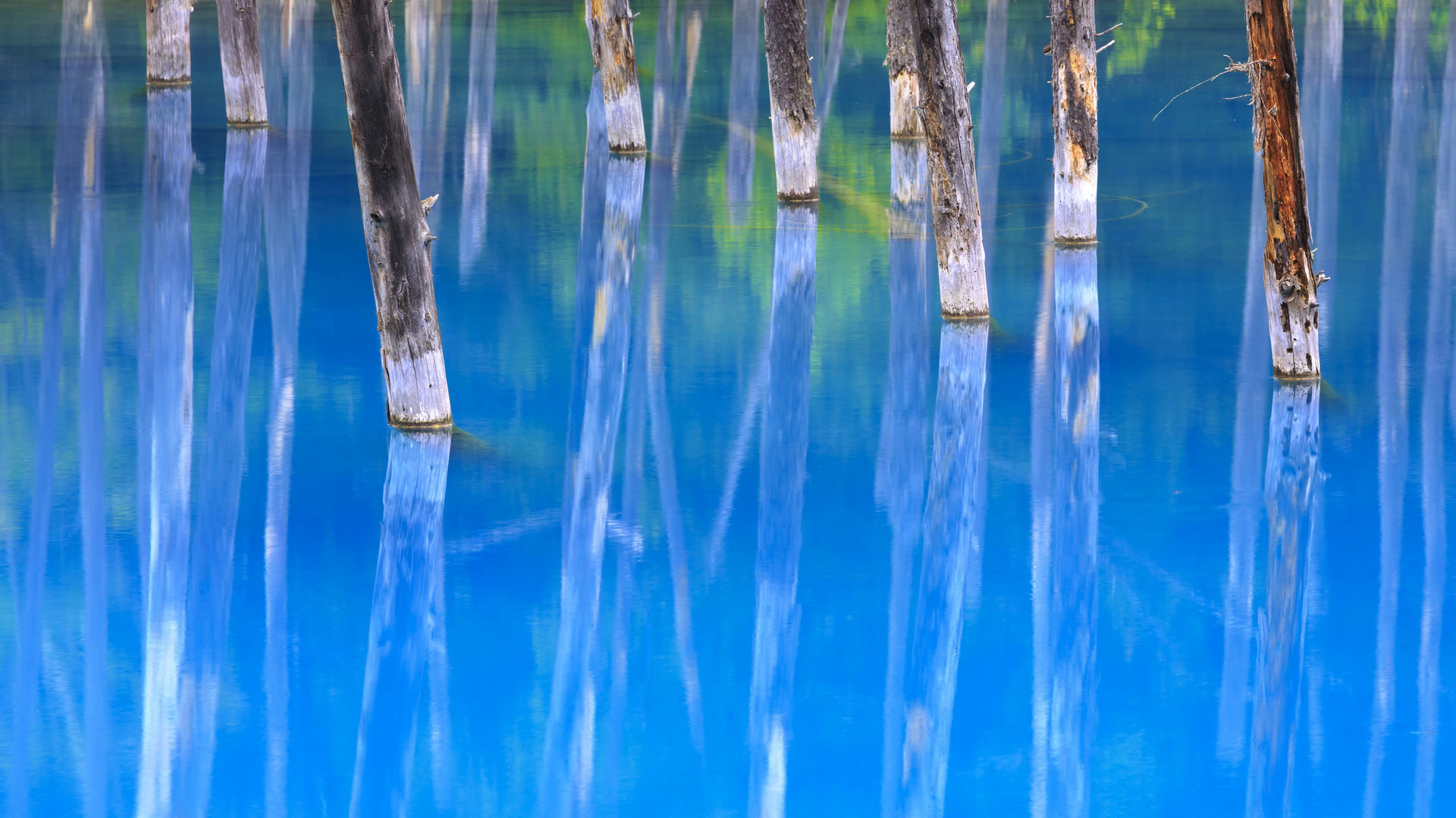 Téléchargez gratuitement l'image La Nature, Terre/nature, Réflection sur le bureau de votre PC