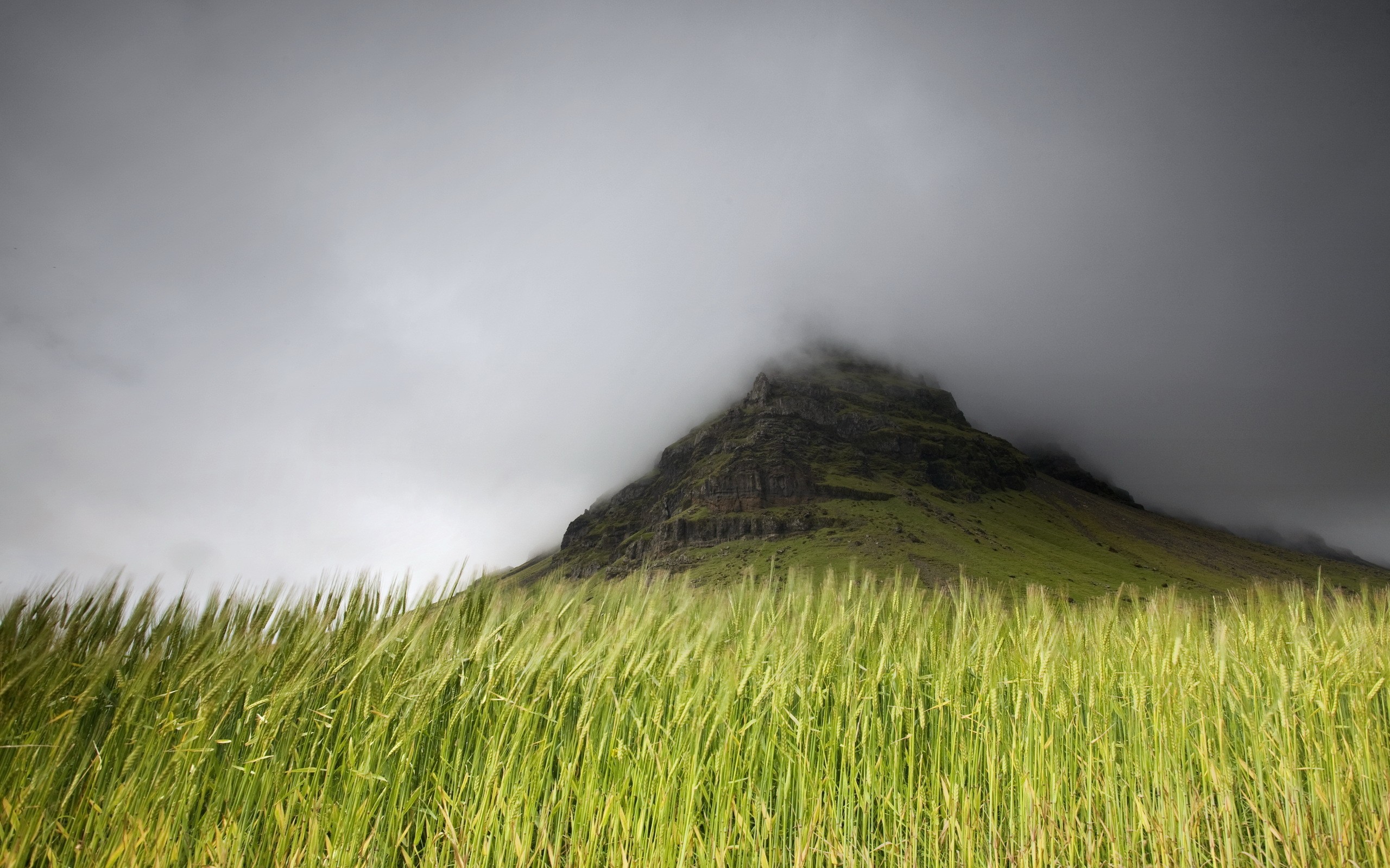 Free download wallpaper Landscape, Grass, Wheat, Mountain, Fog, Earth on your PC desktop