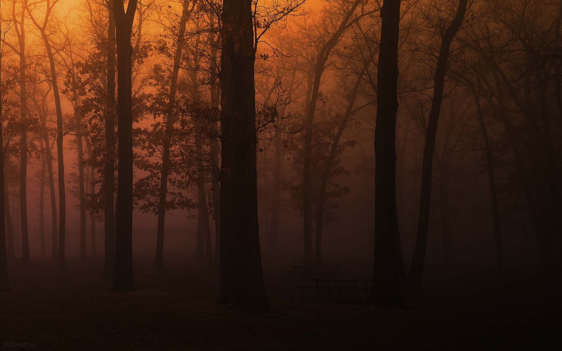 Free download wallpaper Fog, Earth on your PC desktop