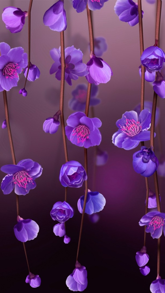 Download mobile wallpaper Flowers, Vine, Flower, Earth, Blossom, Purple Flower for free.