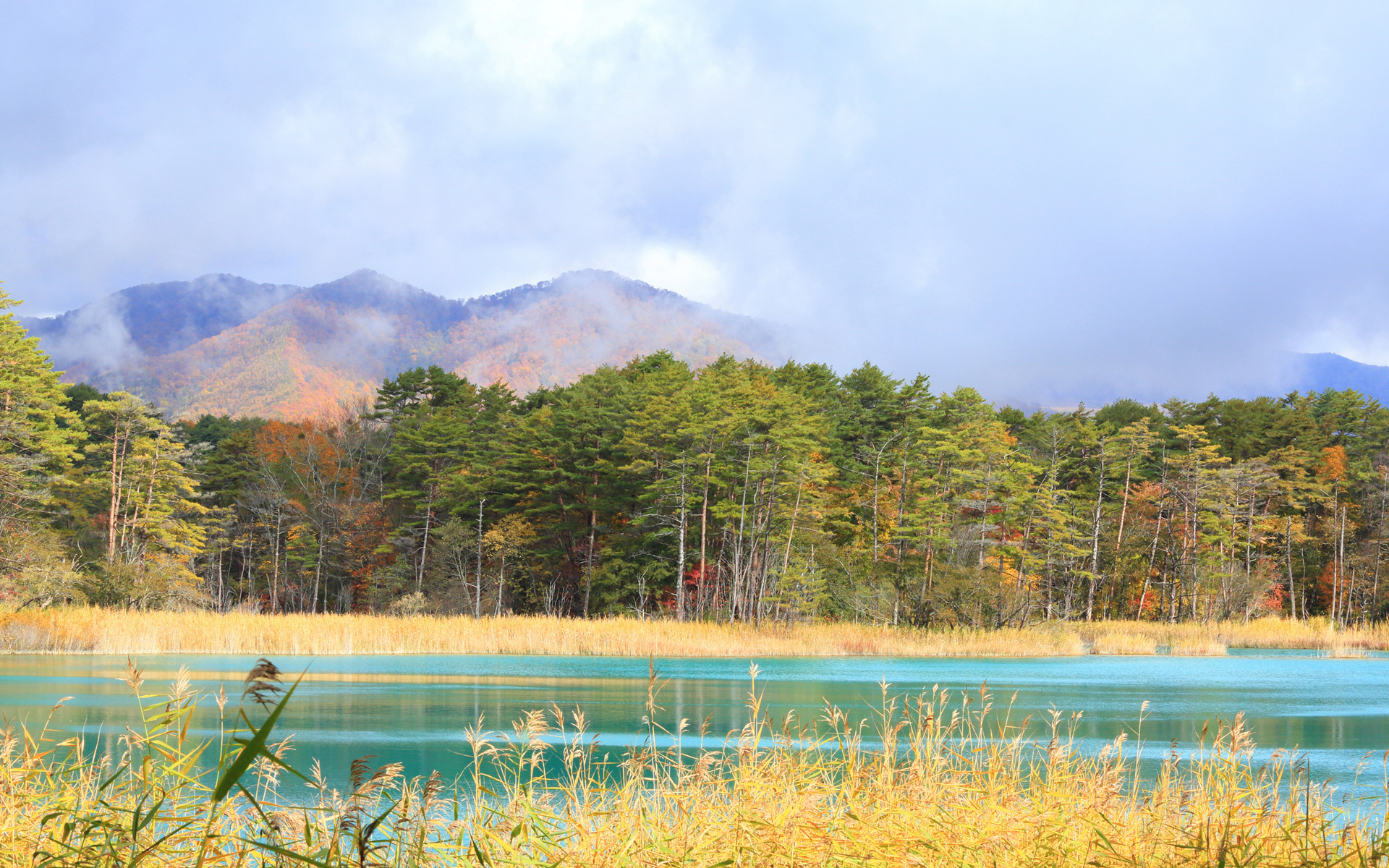 PCデスクトップに風景, 自然, 湖, 山, 森, 地球, クラウド画像を無料でダウンロード