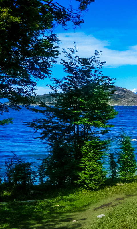 Скачать картинку Озера, Гора, Озеро, Дерево, Земля, Аргентина, Земля/природа в телефон бесплатно.