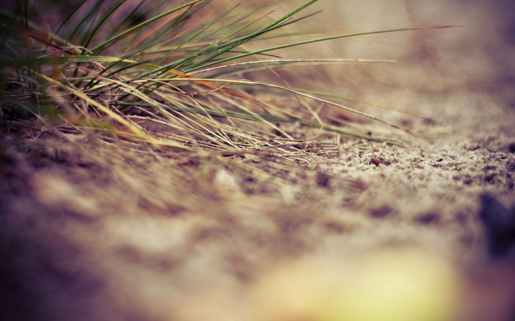 Download mobile wallpaper Grass, Macro, Sand for free.