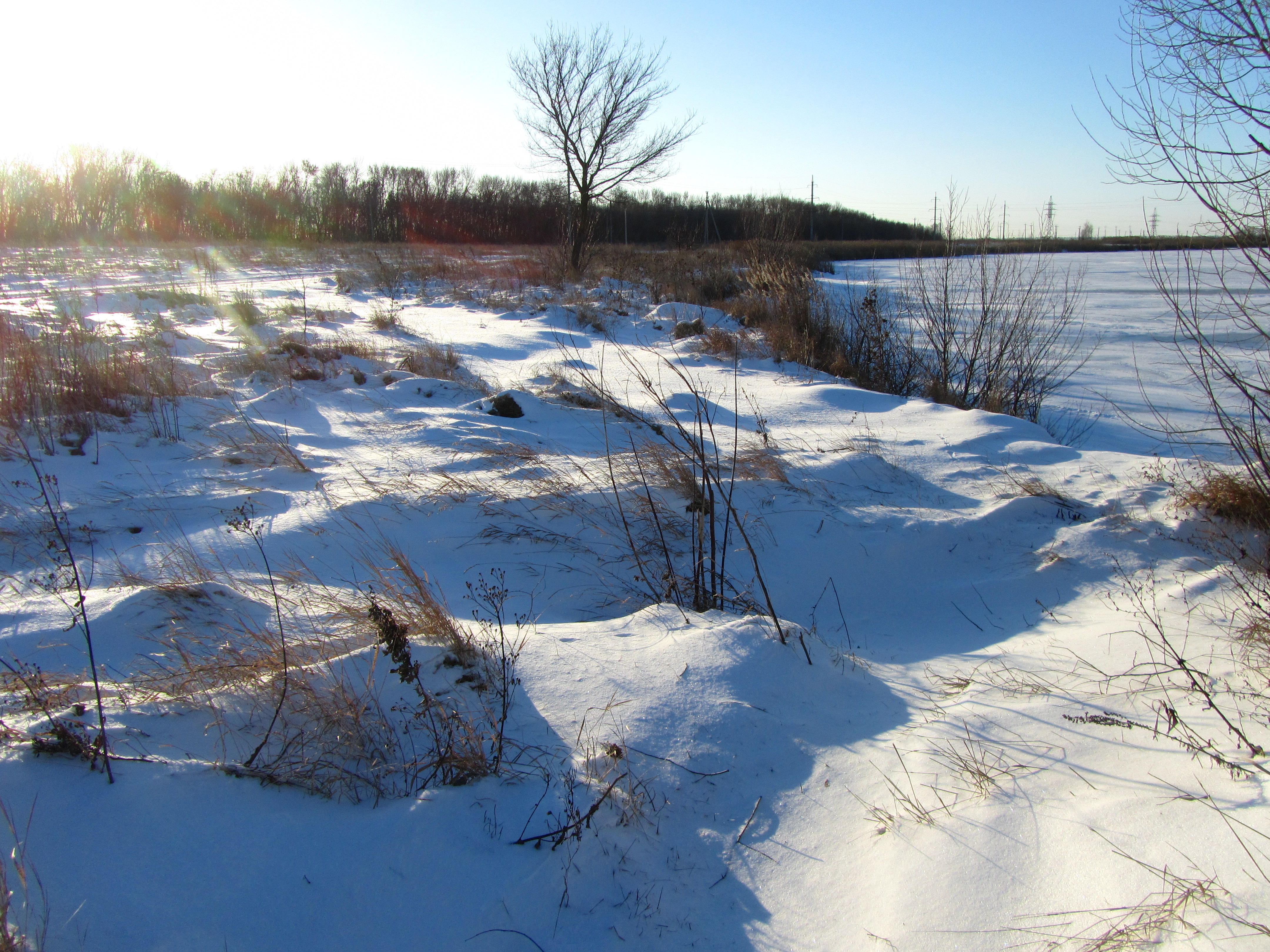 Descarga gratis la imagen Invierno, Tierra/naturaleza en el escritorio de tu PC