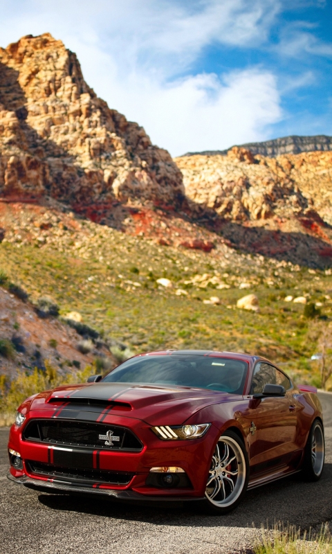 Download mobile wallpaper Ford, Car, Ford Mustang, Muscle Car, Vehicle, Vehicles, Ford Mustang Shelby for free.