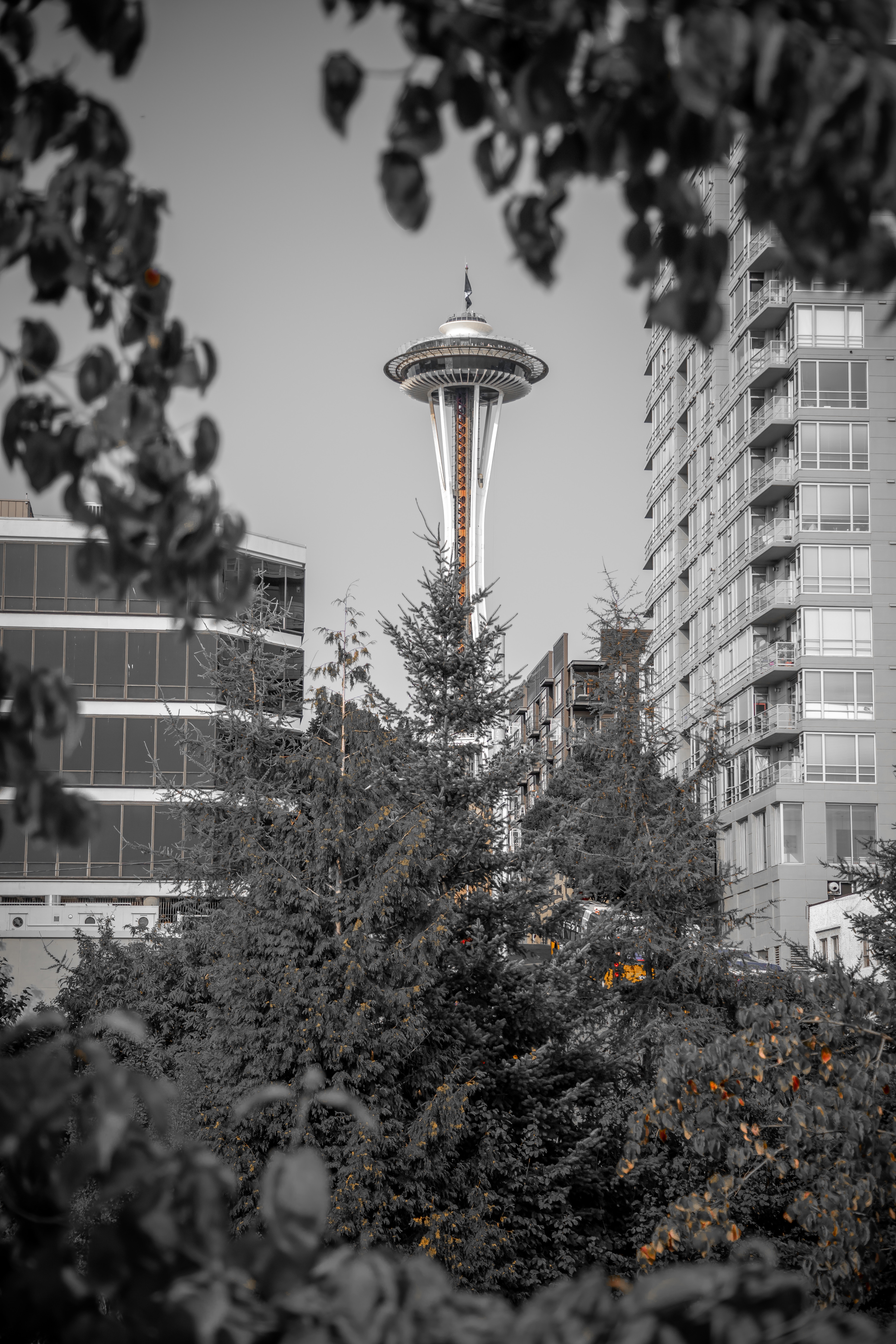 Free download wallpaper Cities, Branches, Bw, United States, Seattle, Architecture, Usa, Chb, Tower on your PC desktop