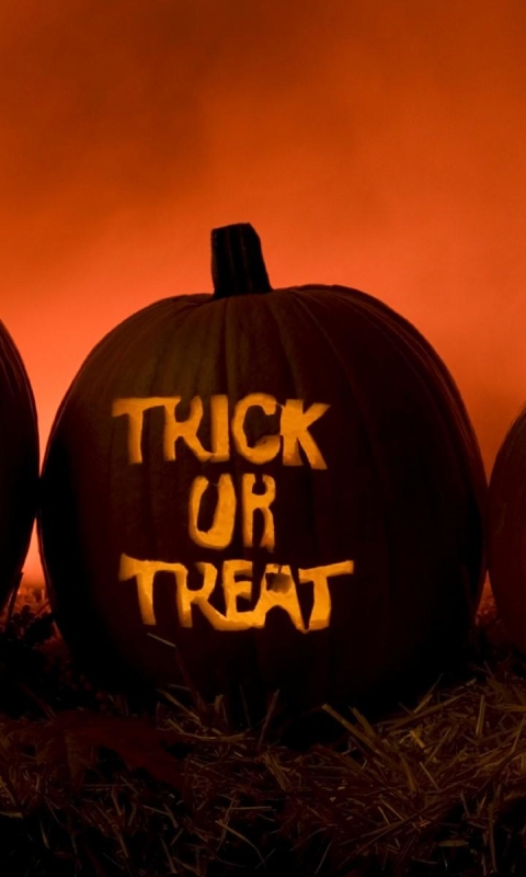 Download mobile wallpaper Halloween, Pumpkin, Holiday, Jack O' Lantern, Trick Or Treat for free.