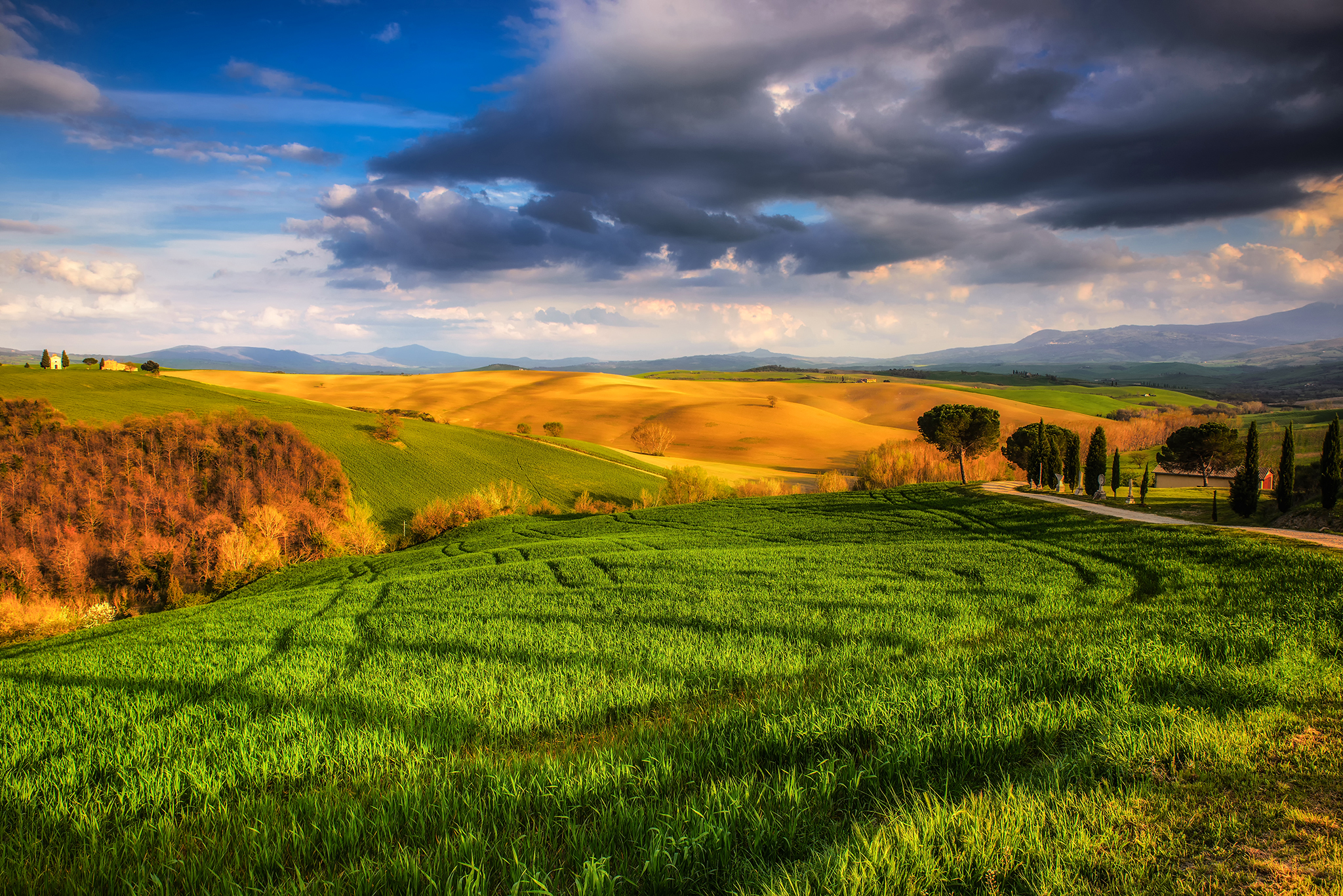 Download mobile wallpaper Landscape, Italy, Earth, Field, Hdr, Cloud, Tuscany for free.