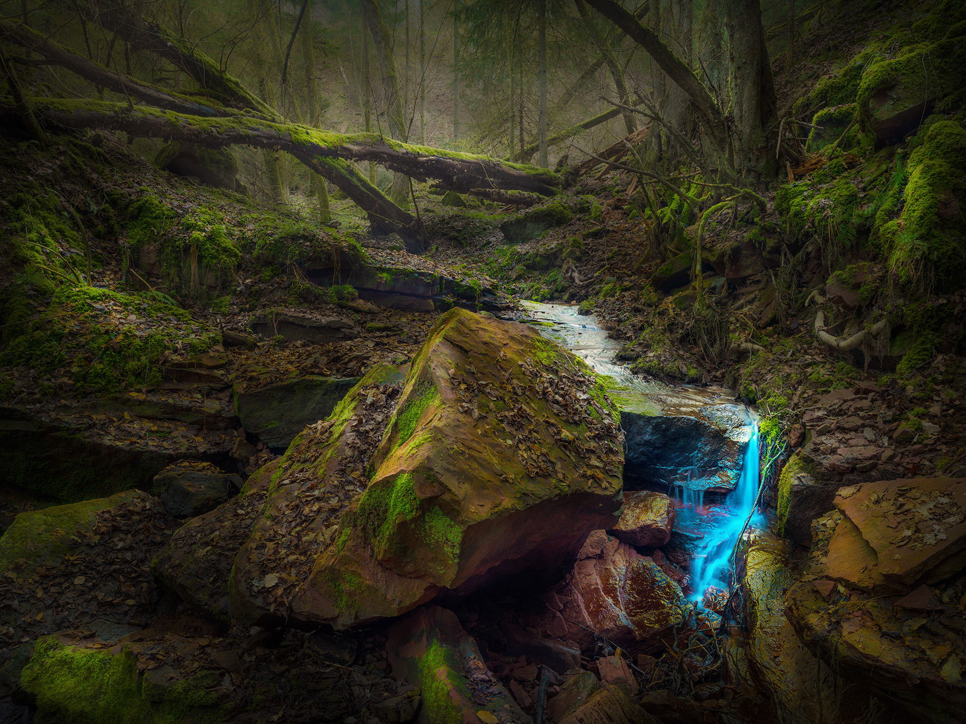 Laden Sie das Natur, Wald, Strom, Erde/natur-Bild kostenlos auf Ihren PC-Desktop herunter