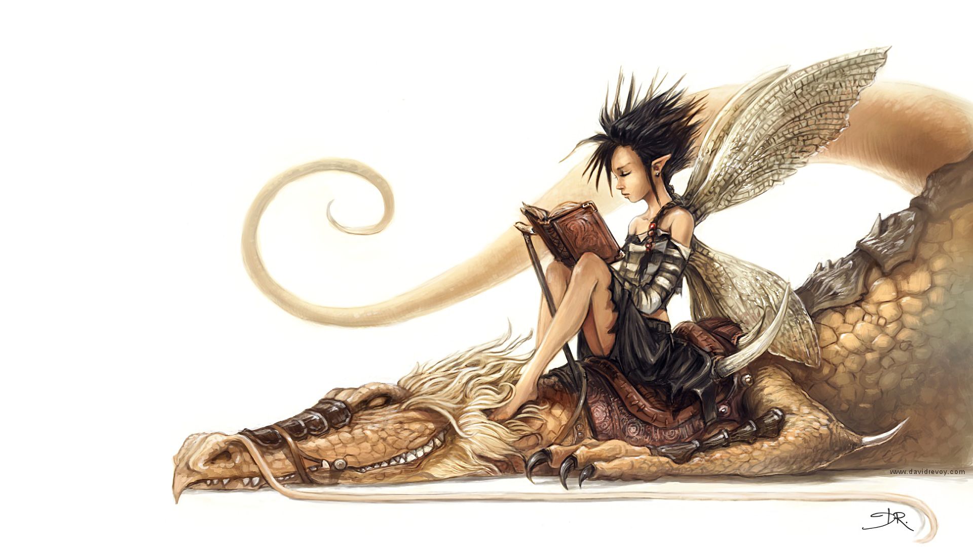 Free download wallpaper Fantasy, Dragon, Fairy on your PC desktop