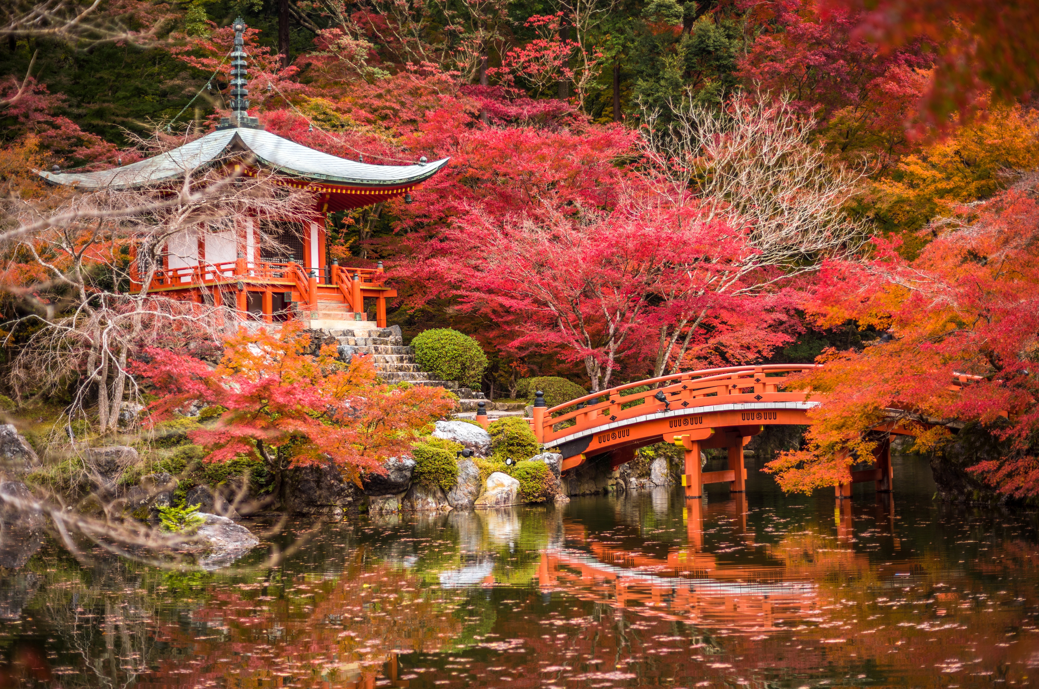 420648 descargar fondo de pantalla jardín japonés, religioso, daigo ji, puente, japón, kioto, naturaleza, pagoda, parque, estanque, santuario, árbol, templos: protectores de pantalla e imágenes gratis