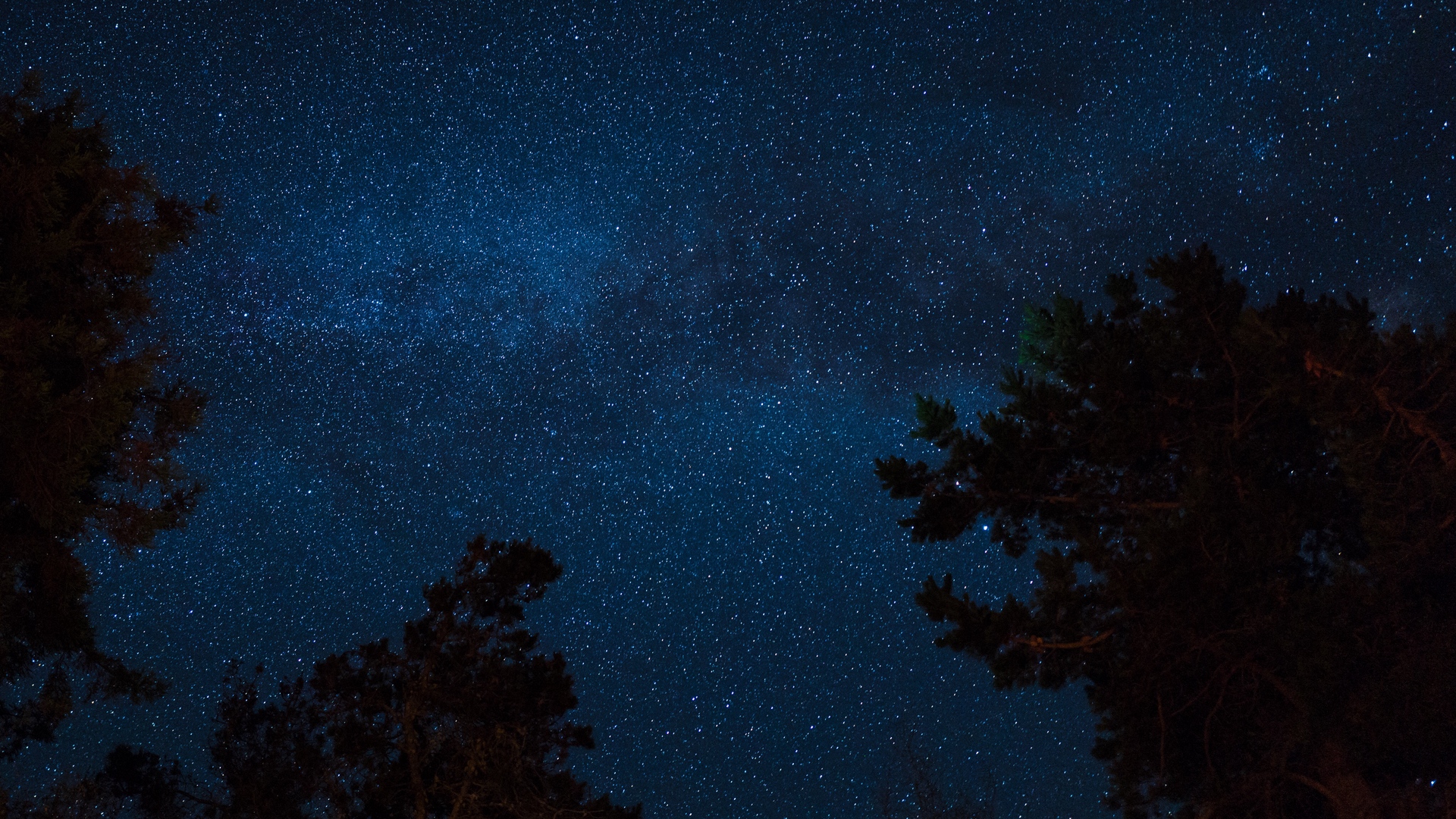 Скачать картинку Звезды, Ночь, Дерево, Звездное Небо, Земля/природа в телефон бесплатно.