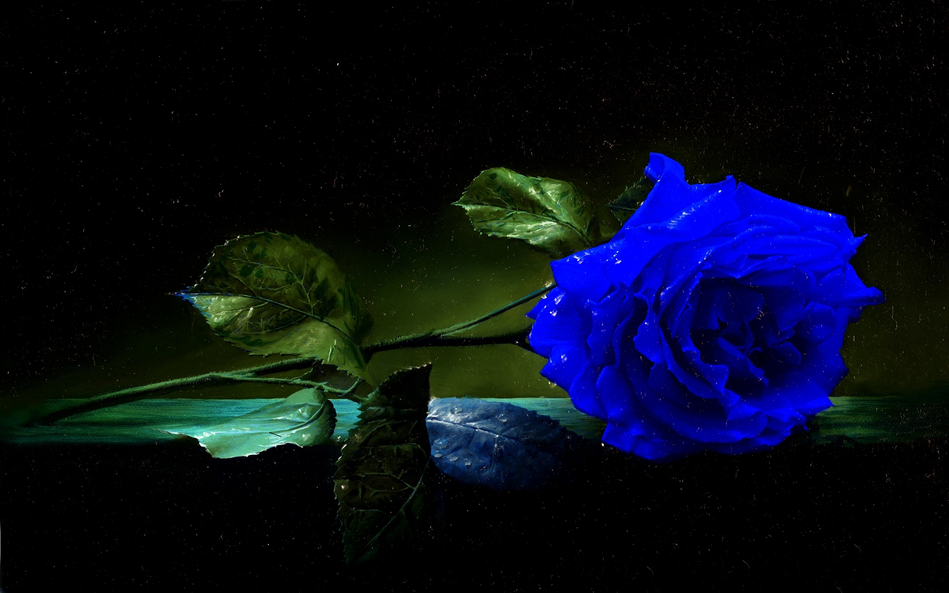 Download mobile wallpaper Flowers, Flower, Rose, Earth, Blue Flower for free.