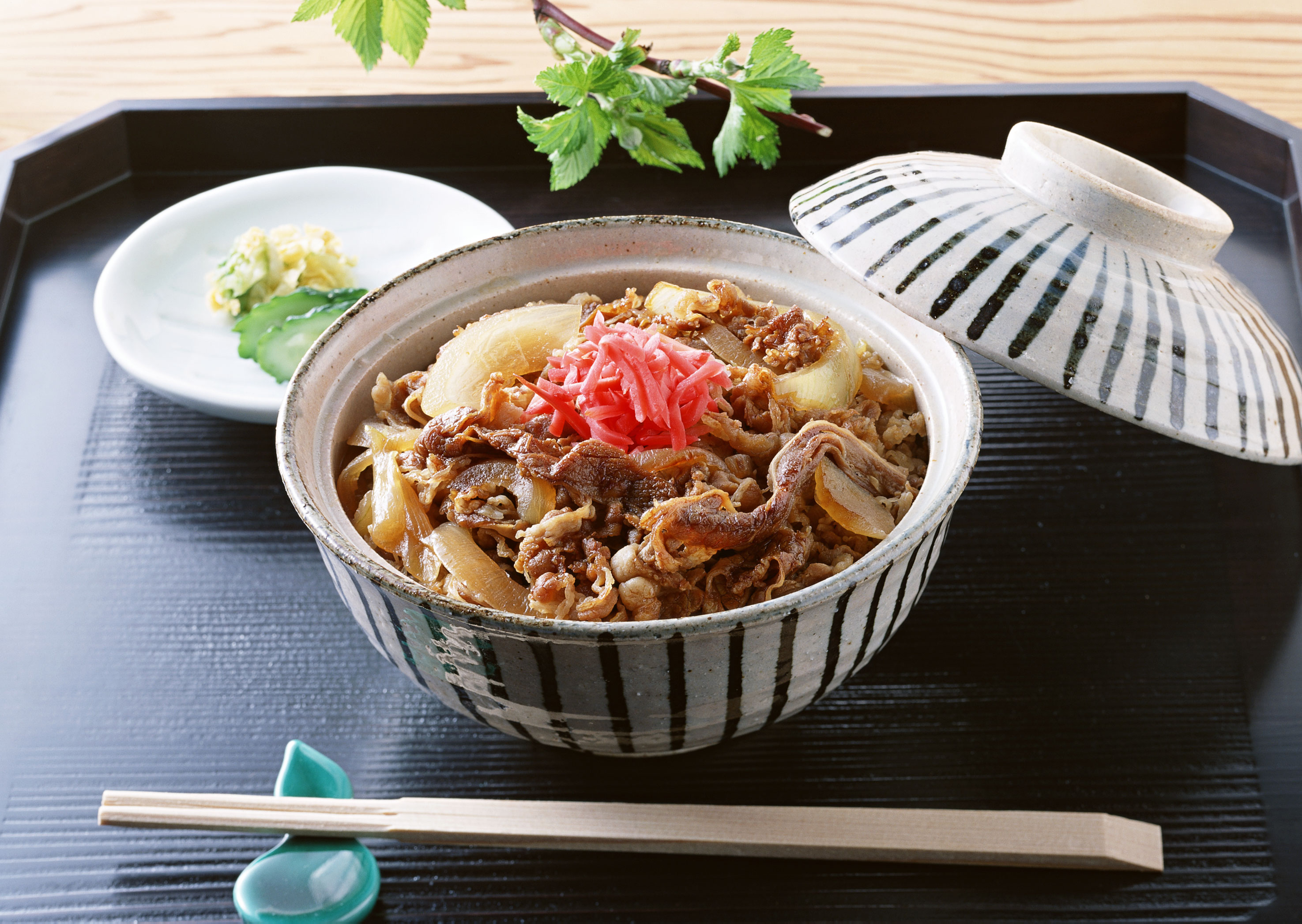 電話スクリーンに最適な牛丼の壁紙