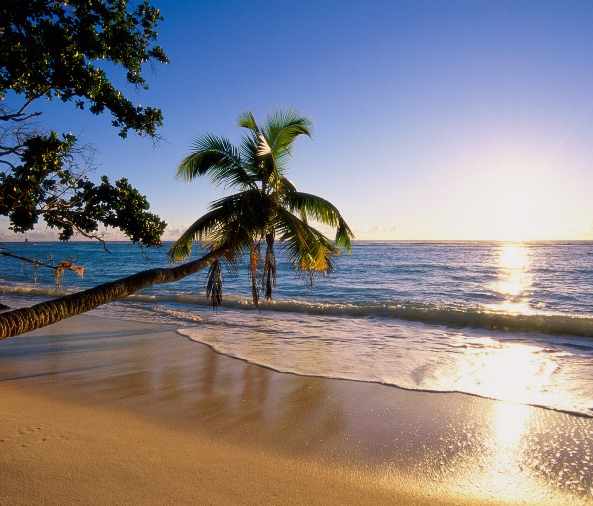 Free download wallpaper Sunset, Beach, Ocean, Earth on your PC desktop