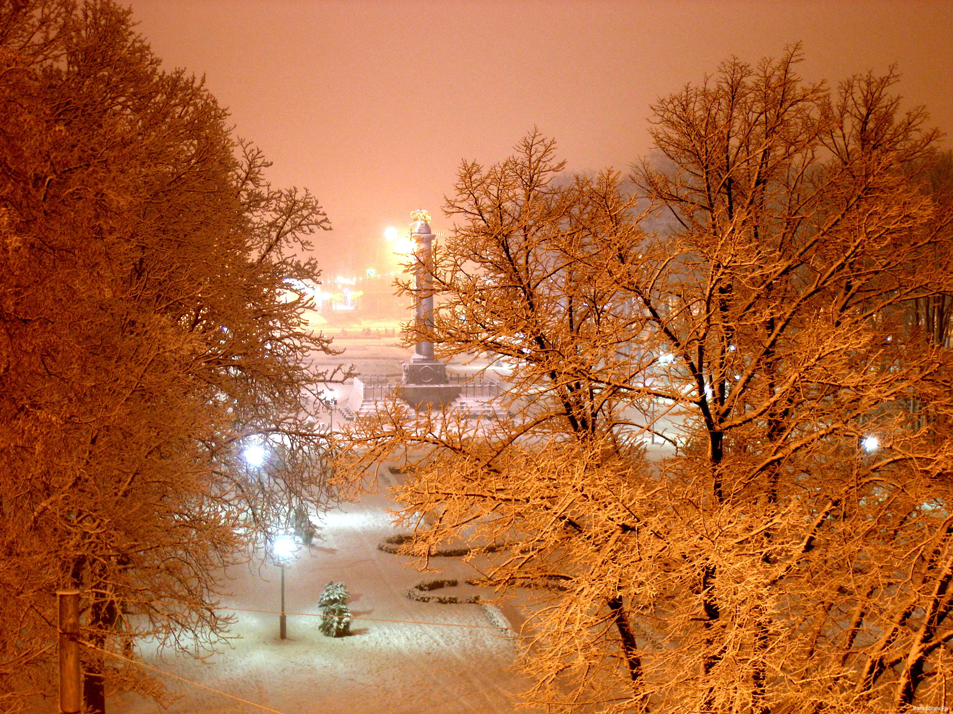 PCデスクトップに風景, 冬, 木, オレンジ, ナイト, 雪画像を無料でダウンロード