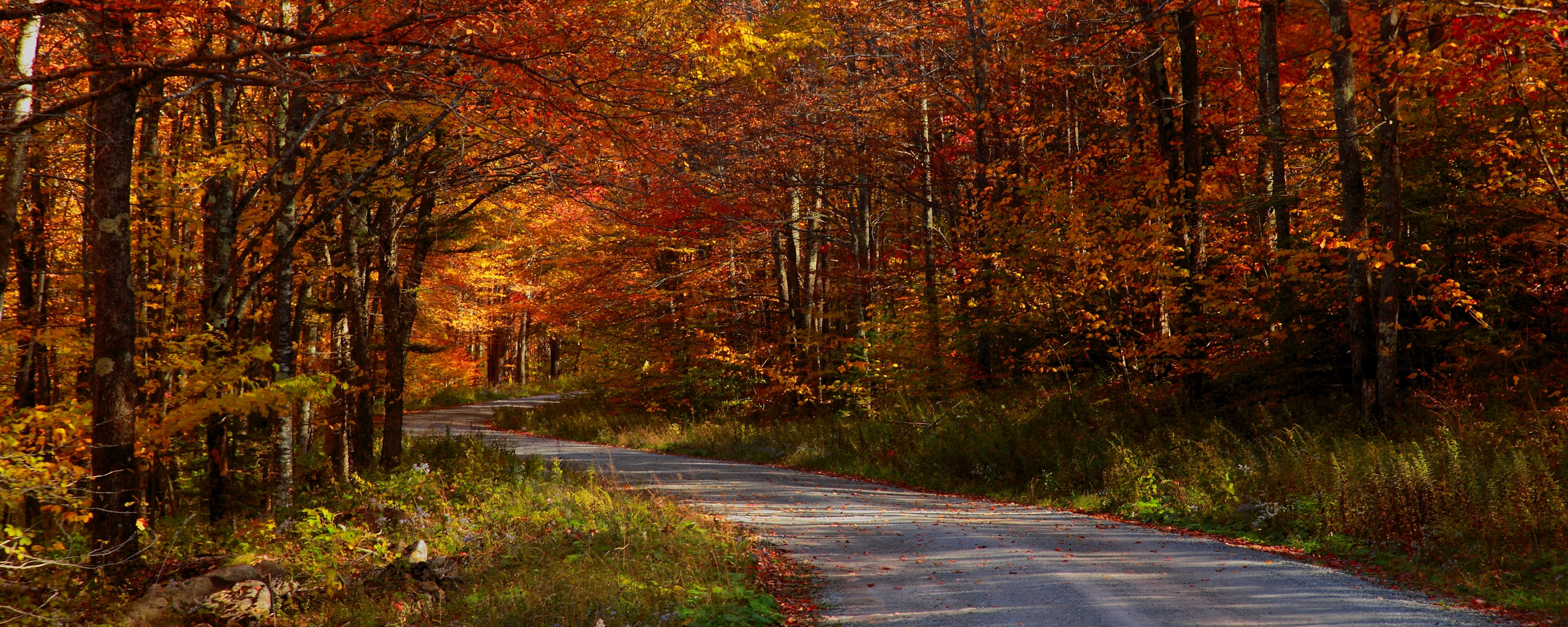 Descarga gratuita de fondo de pantalla para móvil de Carretera, Hecho Por El Hombre.